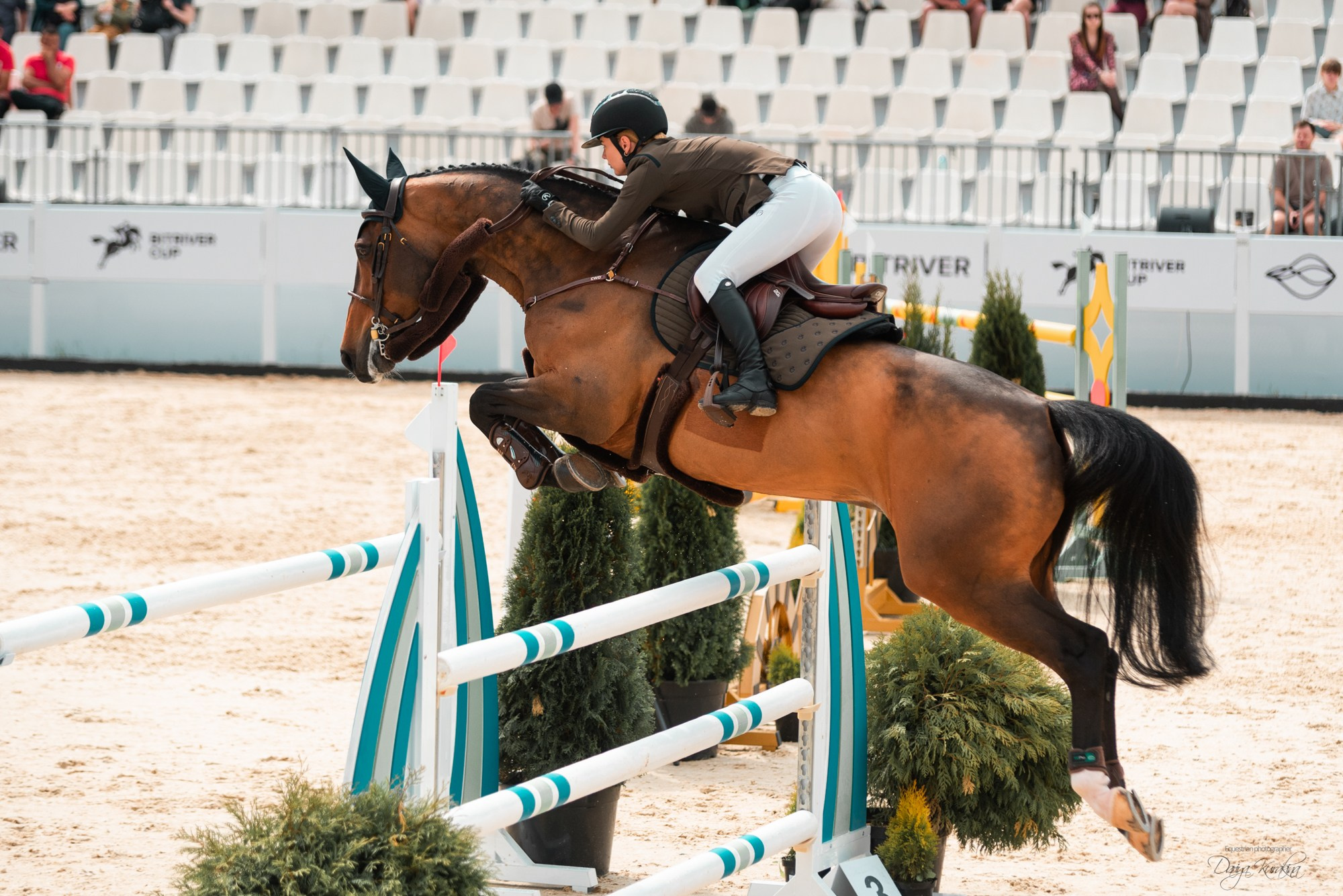 BITRIVER CUP 2023. Конный фотограф Куракина Дарья • Фотосессии с лошадьми