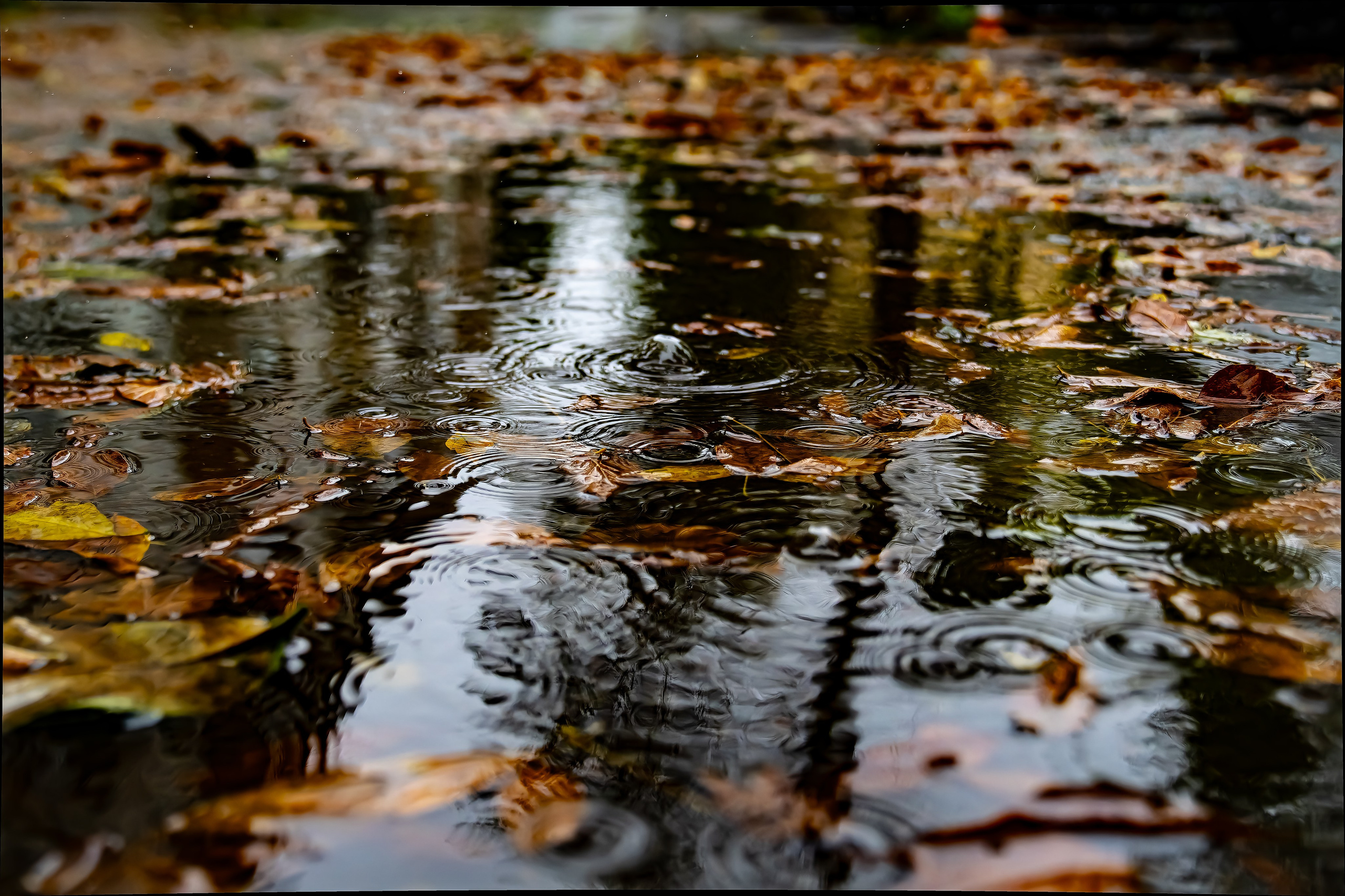 Контакты. Фотограф во Владивостоке