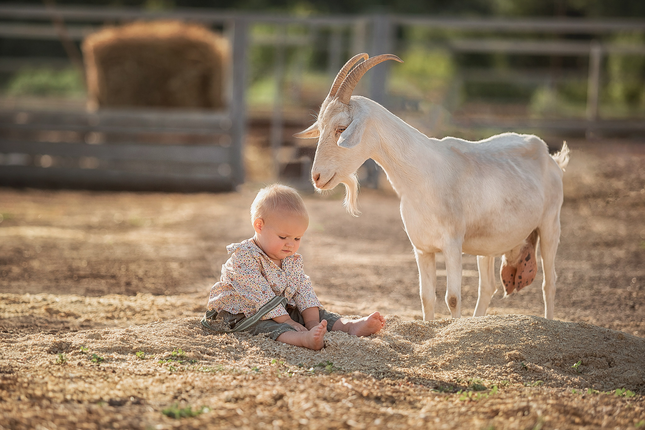 ПОРТФОЛИО. Профессиональный семейный и детский фотограф Наталья Мирошниченко