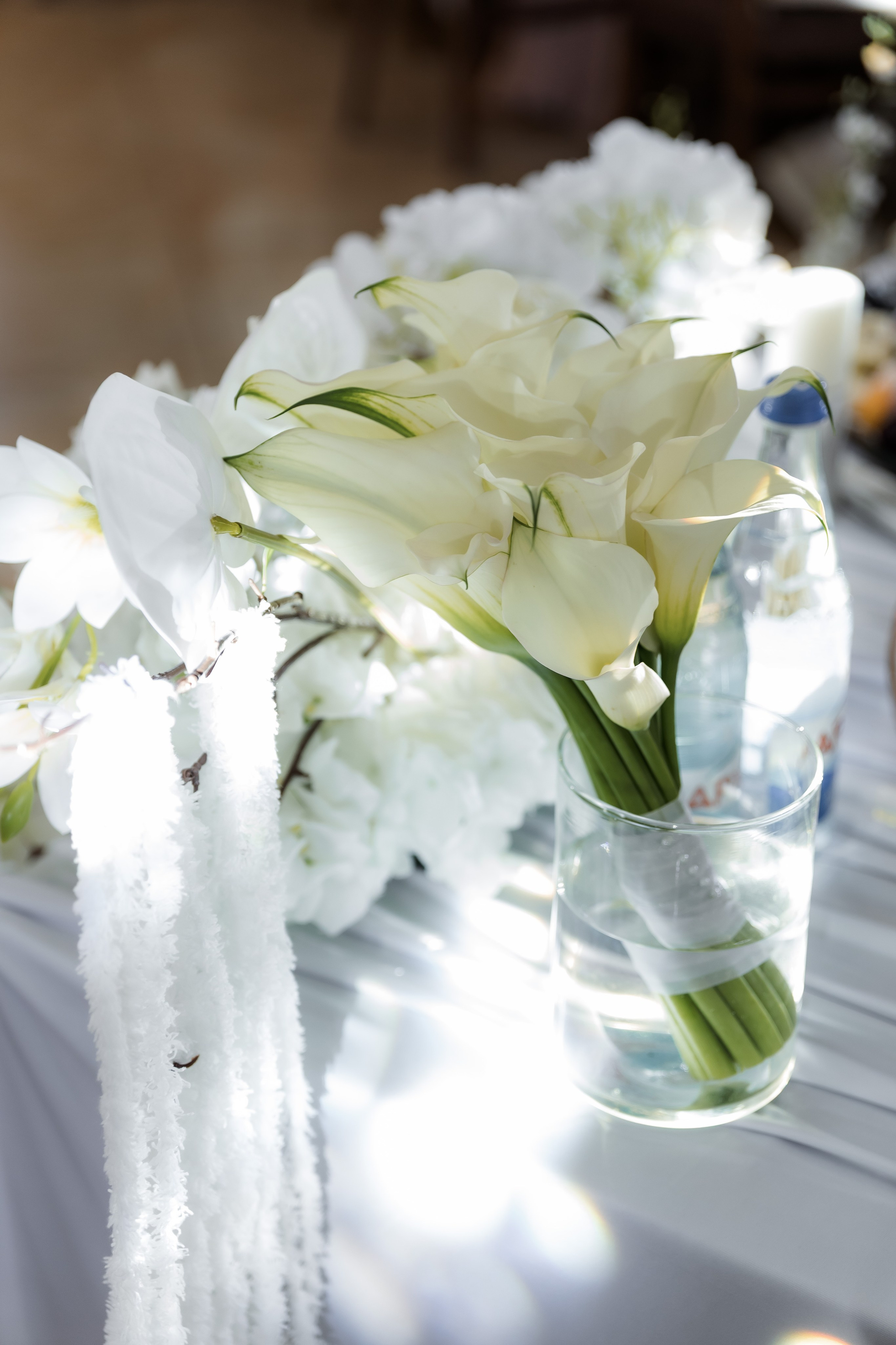 Виолетта и Павел. Фотограф Елизавета Князева Сергиев Посад, Москва