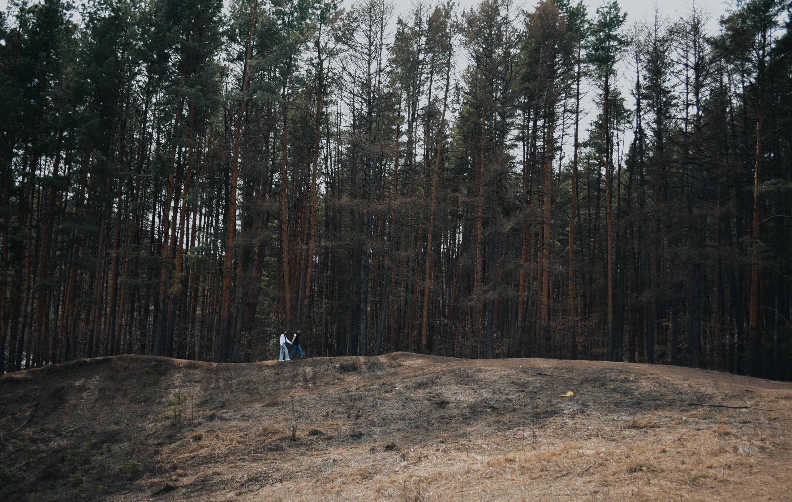 Дмитрий и Даша. Фотограф и контент-фотограф Анна Сентюрева в городе Пенза