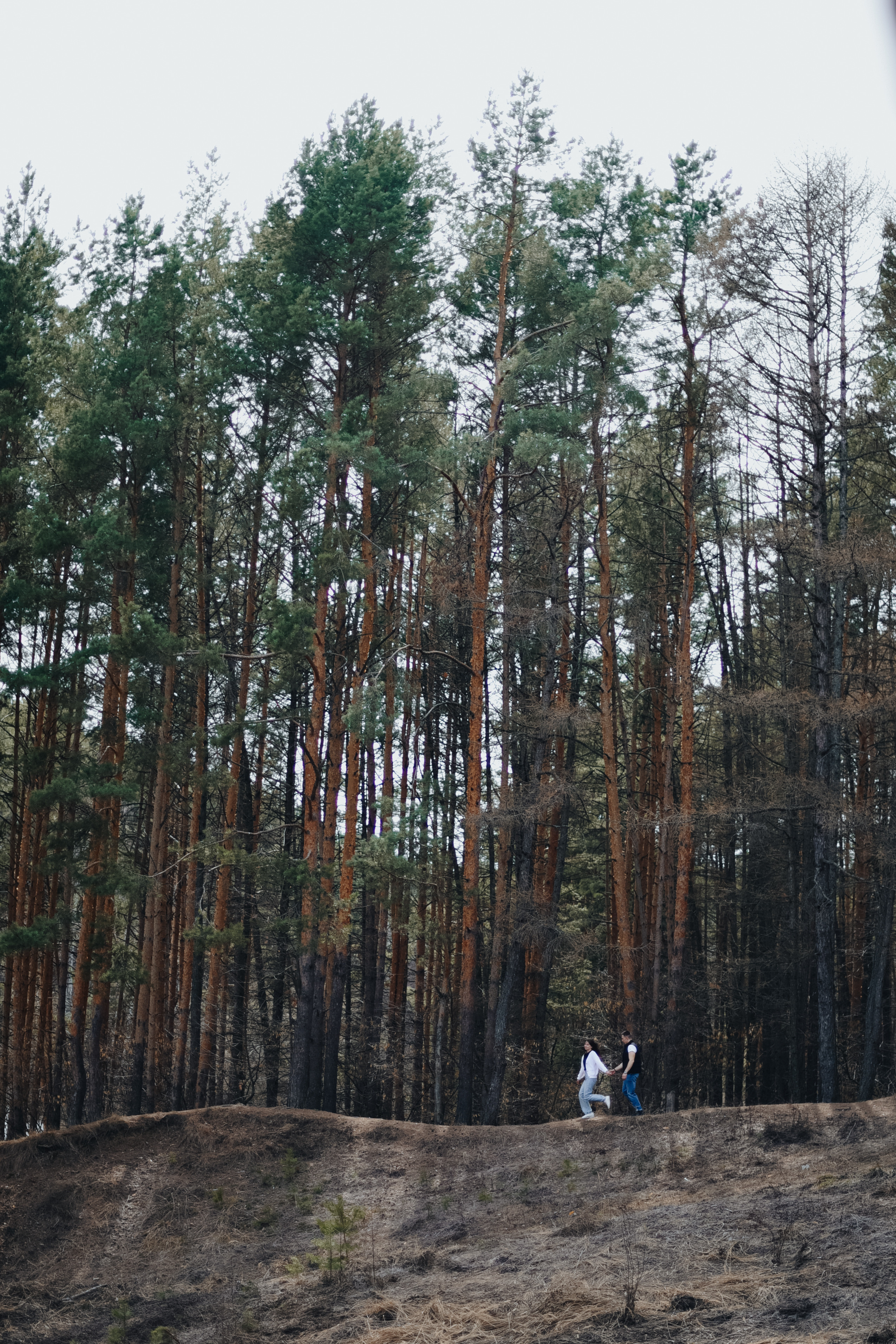 Дмитрий и Даша. Фотограф и контент-фотограф Анна Сентюрева в городе Пенза