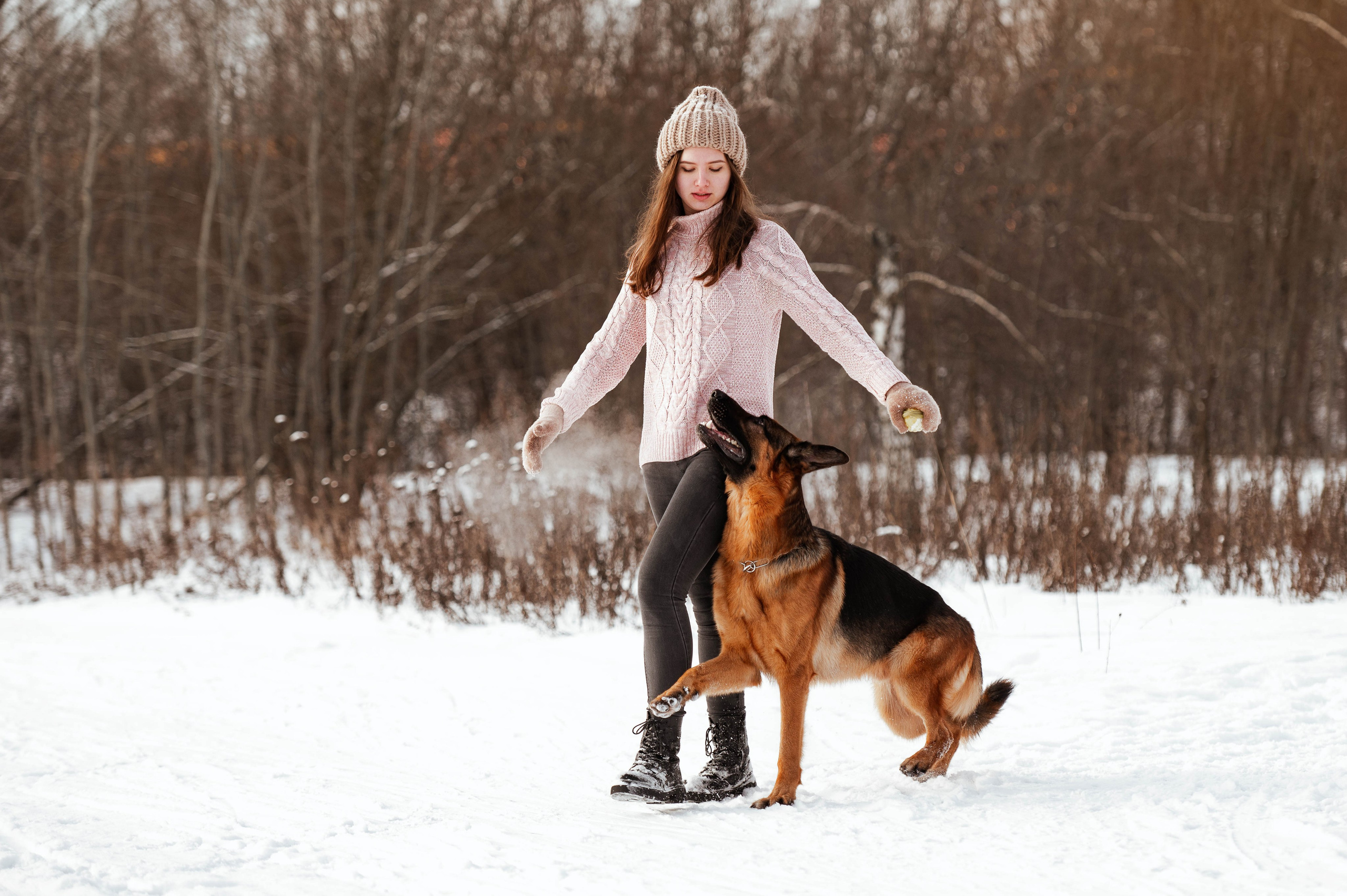 Вольт. Фотограф-анималист