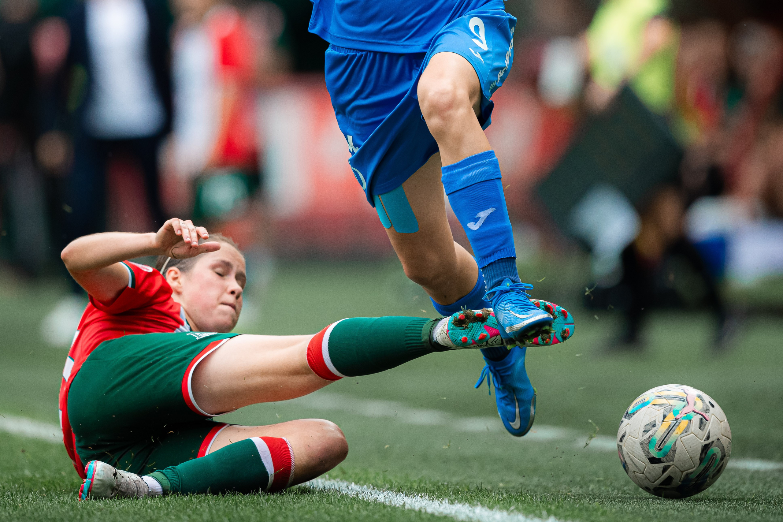 Lokomotiv — Dynamo, 17/08/2024. Фотограф Кирилл Сафонов