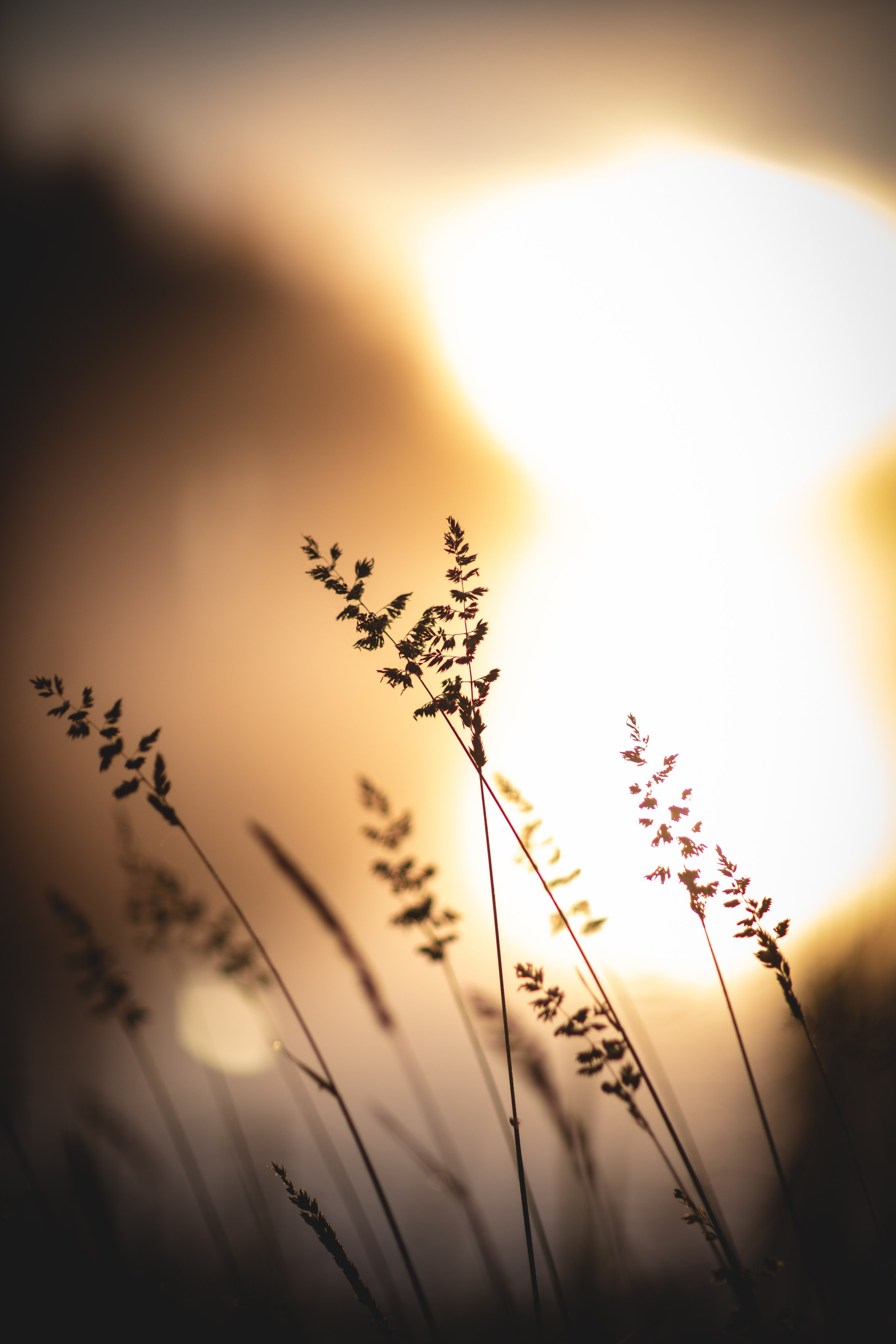 Фототуур «Край озёр» Лето. Семейный фотограф в Москве Анастасия Гурьянова