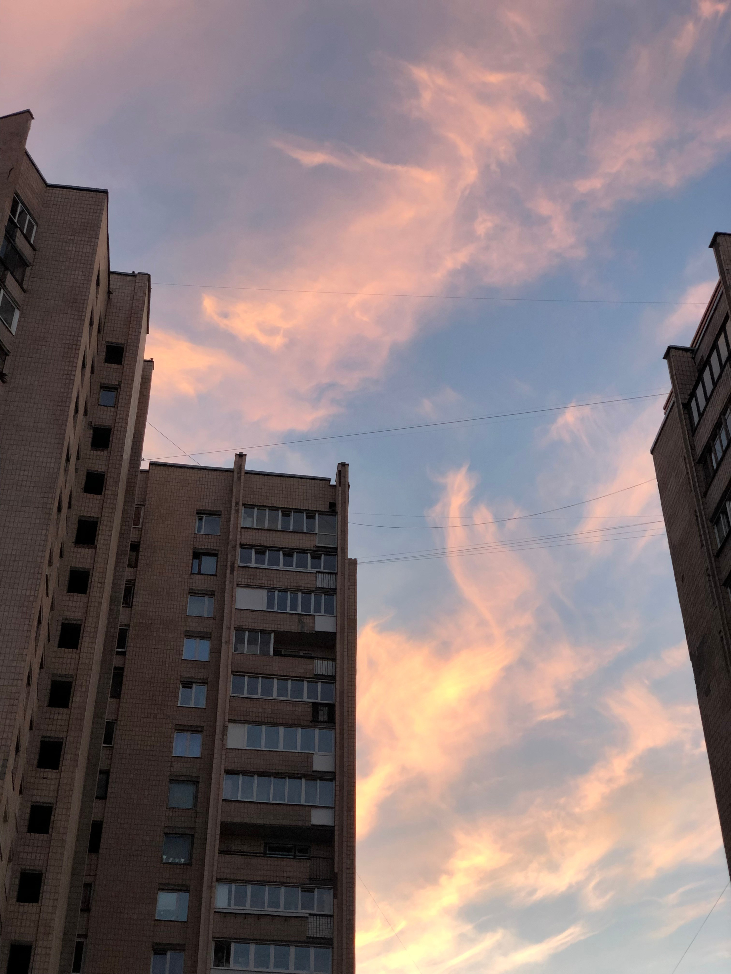 Август. Семейный, Свадебный фотограф СПБ Питер— Романова Екатерина