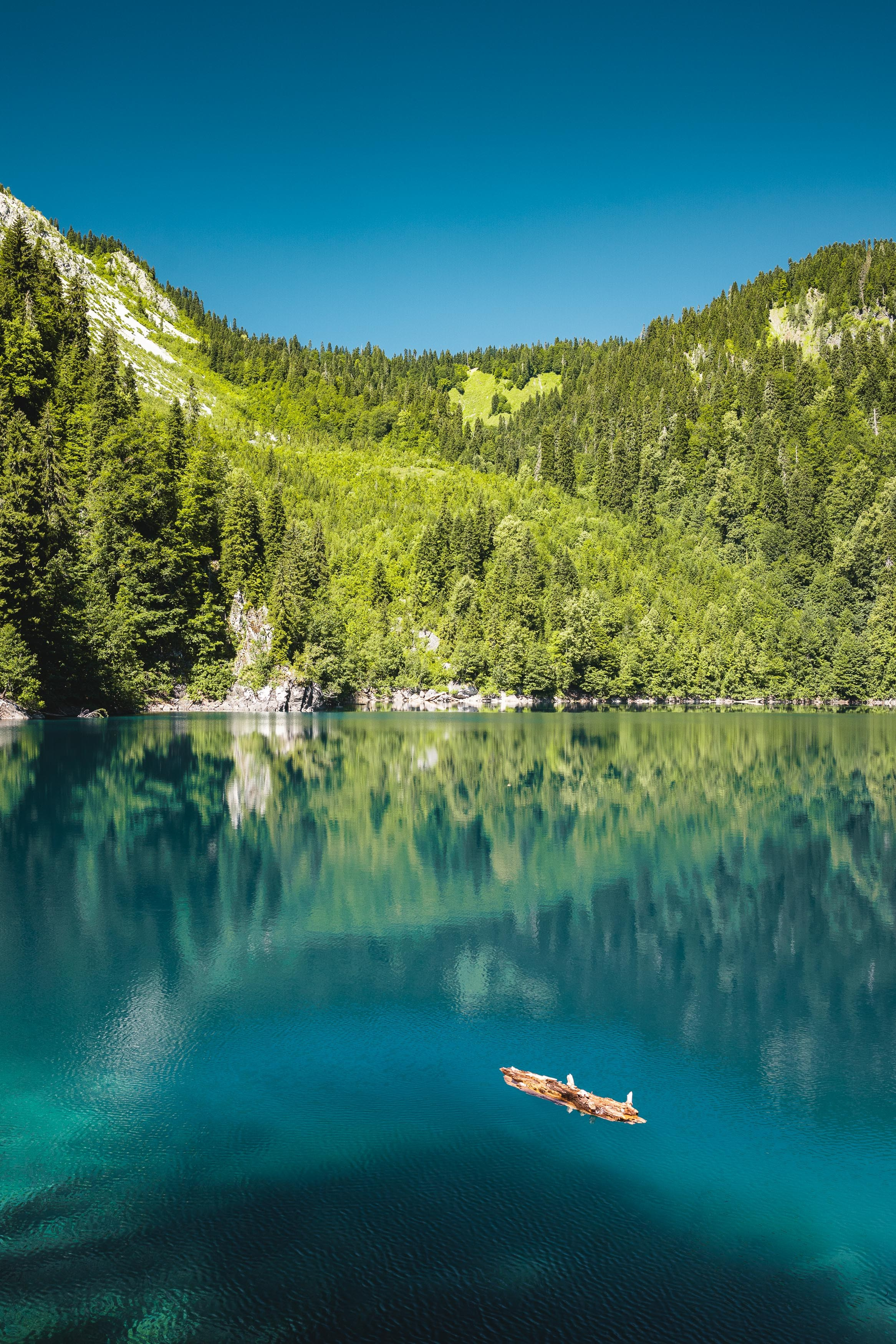 Абхазия 22. Vazovsky Photography