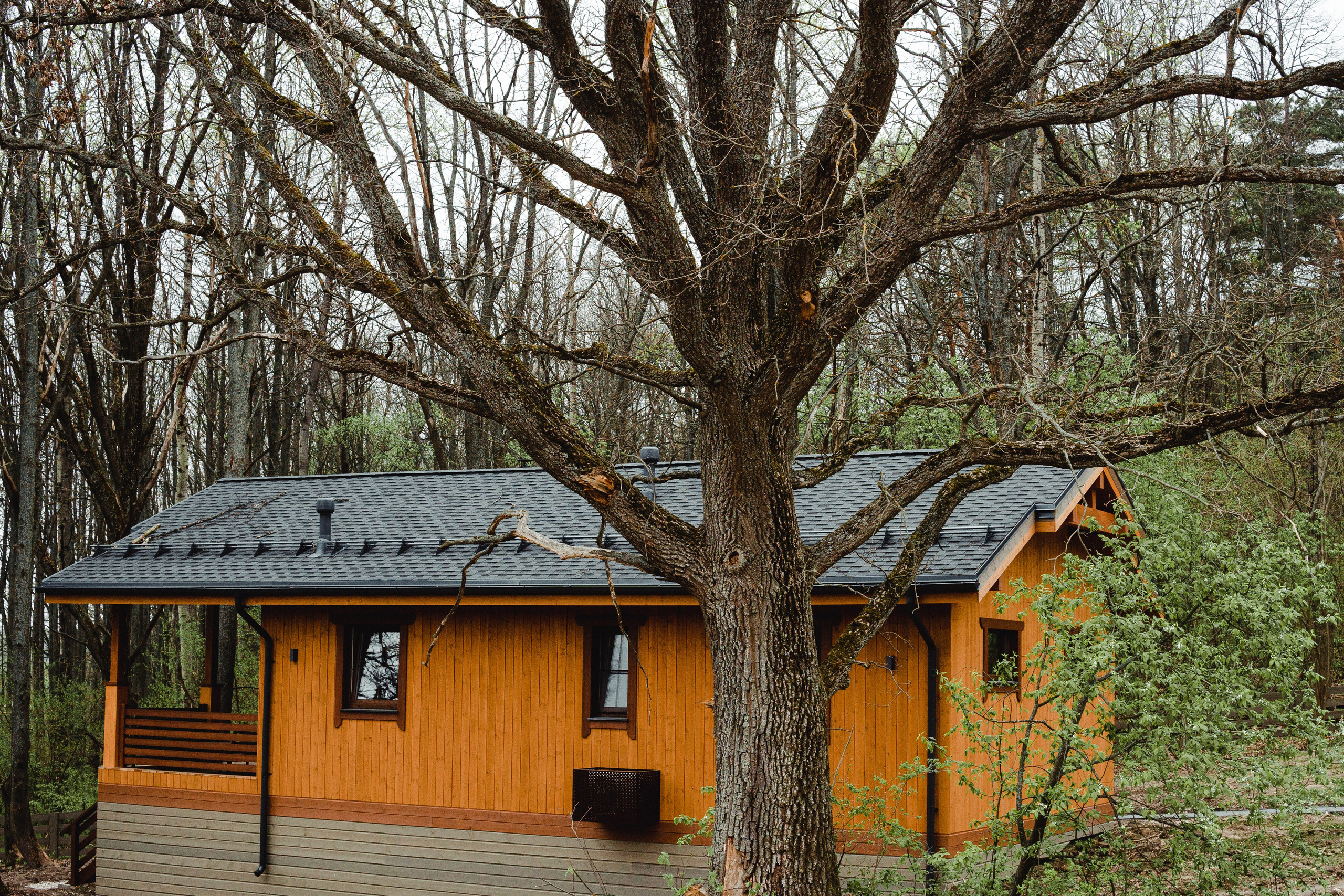 СЪЁМКА ДЛЯ АРХИТЕКТУРНОГО БЮРО АПЕКС. Репортажный и интерьерный фотограф, фотохудожник