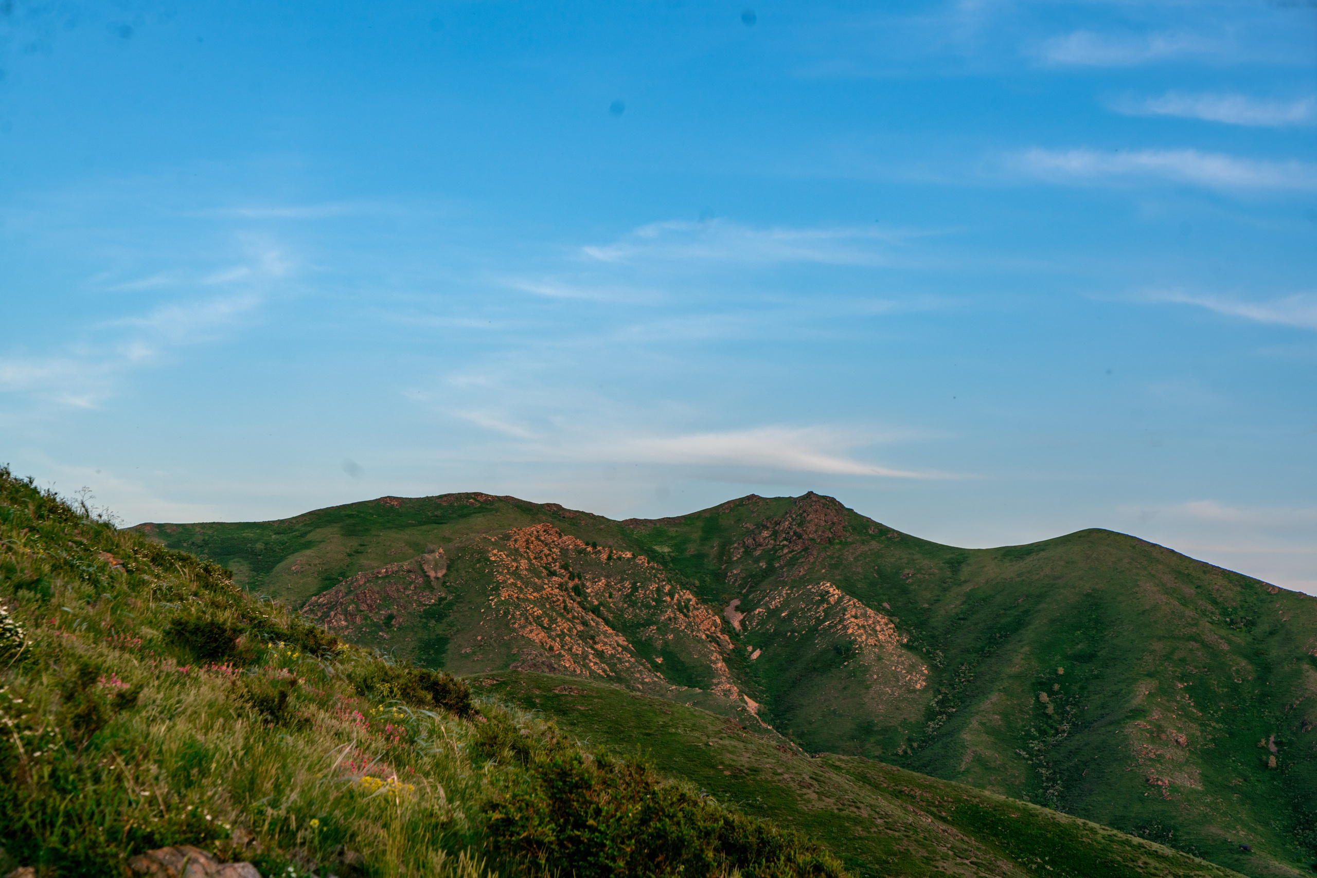 Усть-Каменогорск, Казахстан, Июнь–Июль 2024