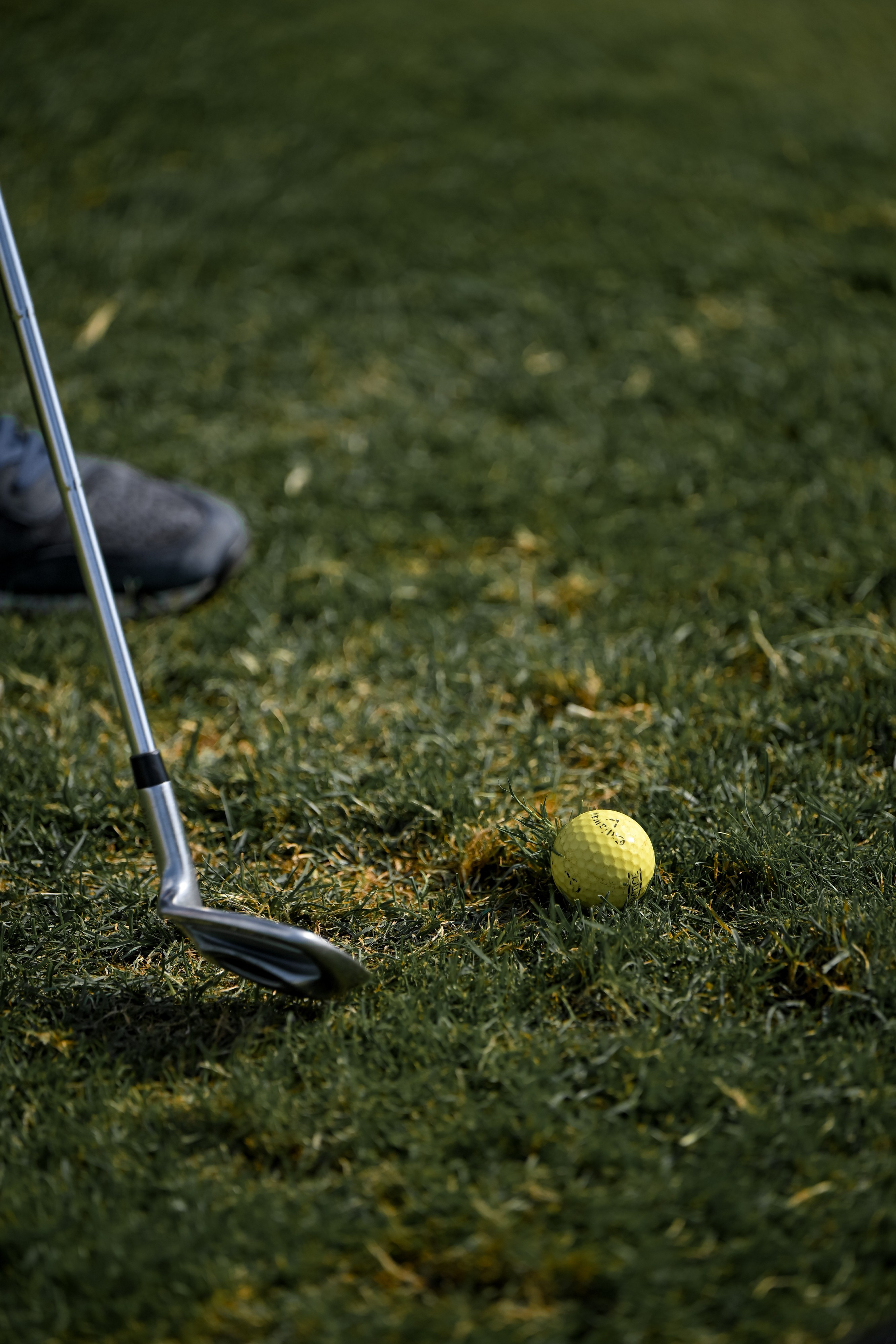 II Гольф-турнир индустрии гостеприимства. Портфолио