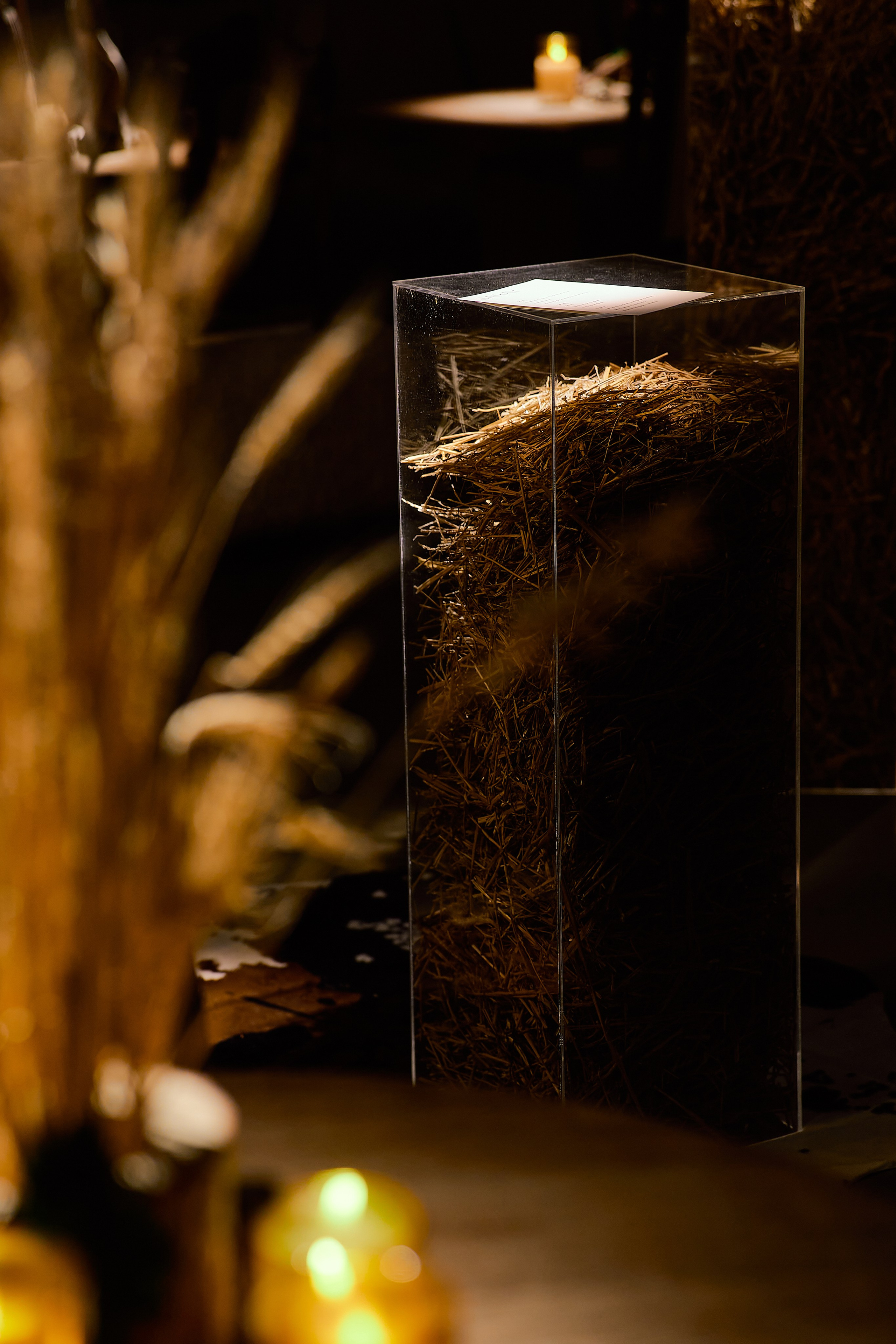 SARAY | 24.11.2025 | г. Москва, ресторан «Сарай». МашаШарики | Декоратор | Москва