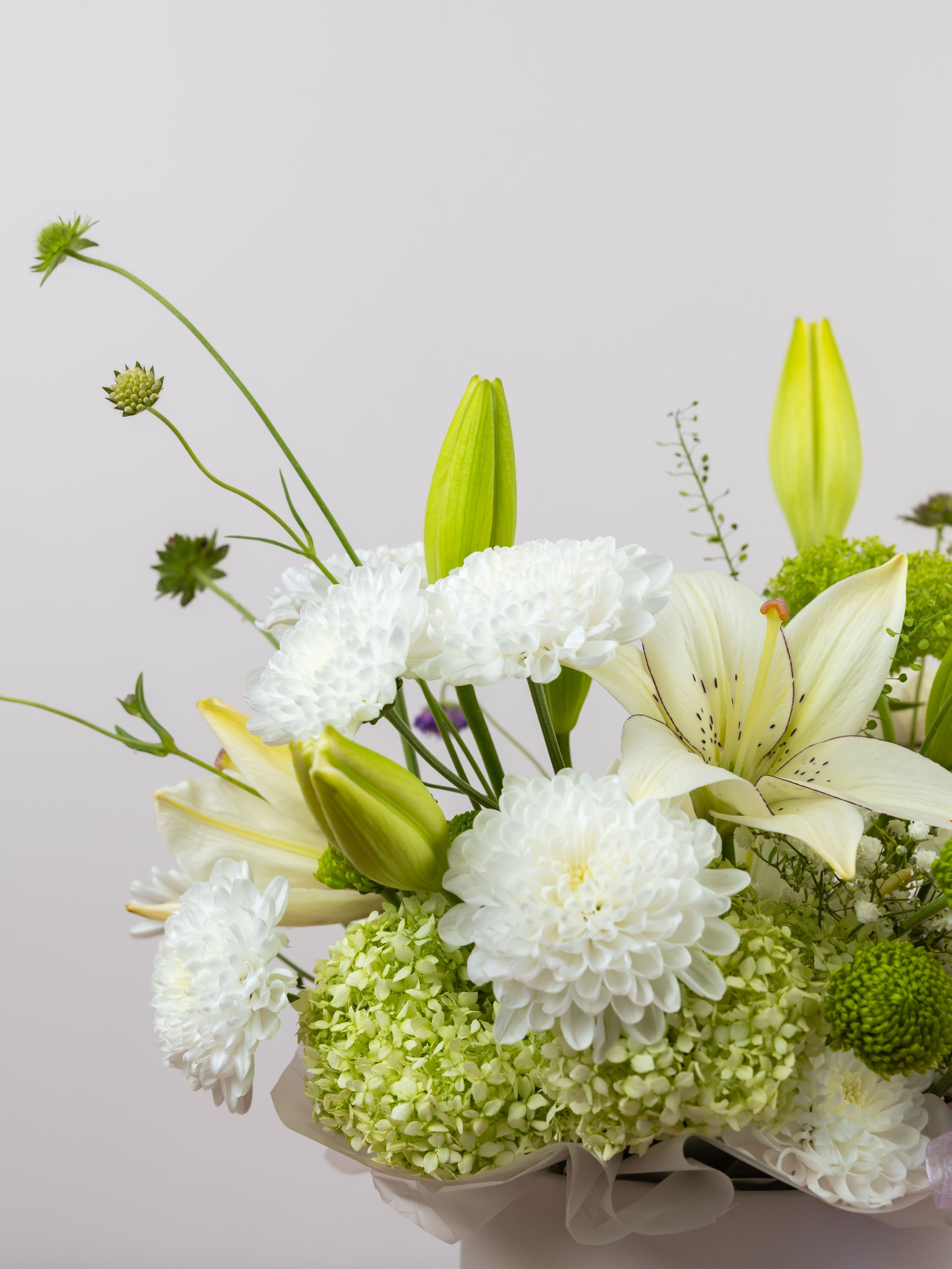 01.08.2025 Фотосессия Цветополис. ФОТОГРАФ ВИНОГРАДОВА ДАРЬЯ