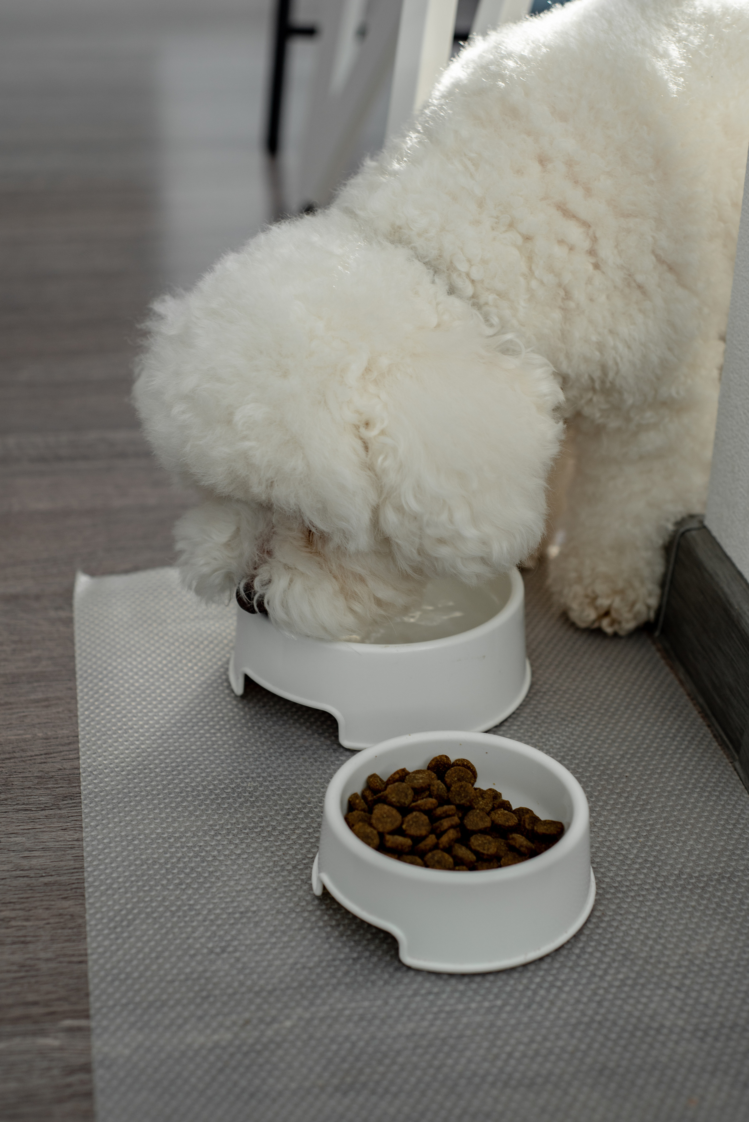 Катя & Коля и очаровашка Заза. Фотограф Татьяна Семенова [Минск/Москва]