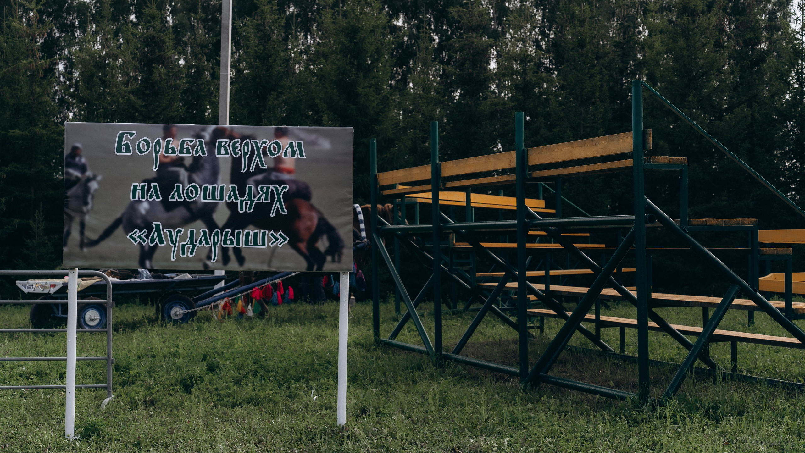 День Коня. Алиса Никитцова | Фотограф в Казани