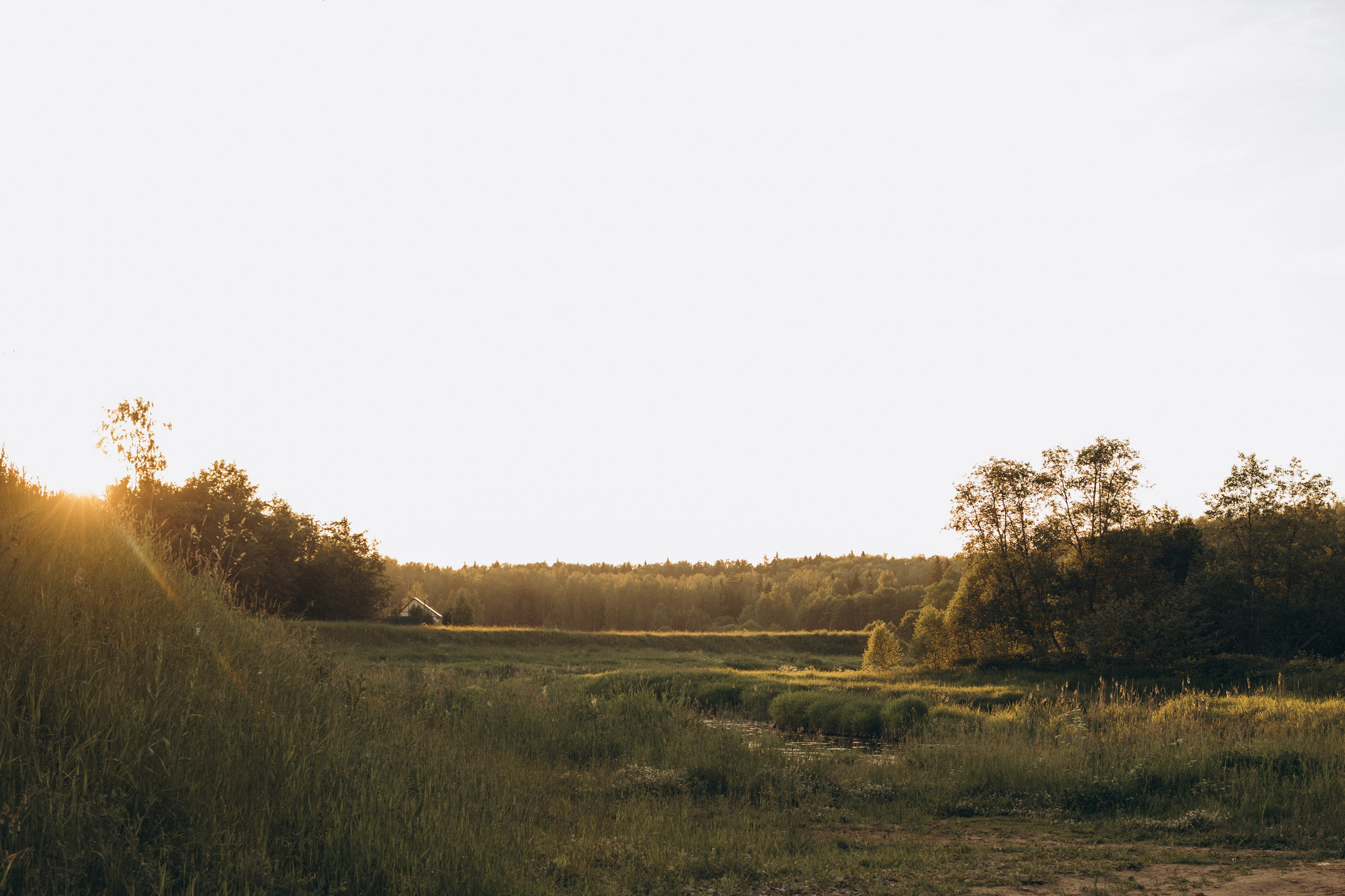 В ожидании чуда. Фотограф в Иваново и Суздале