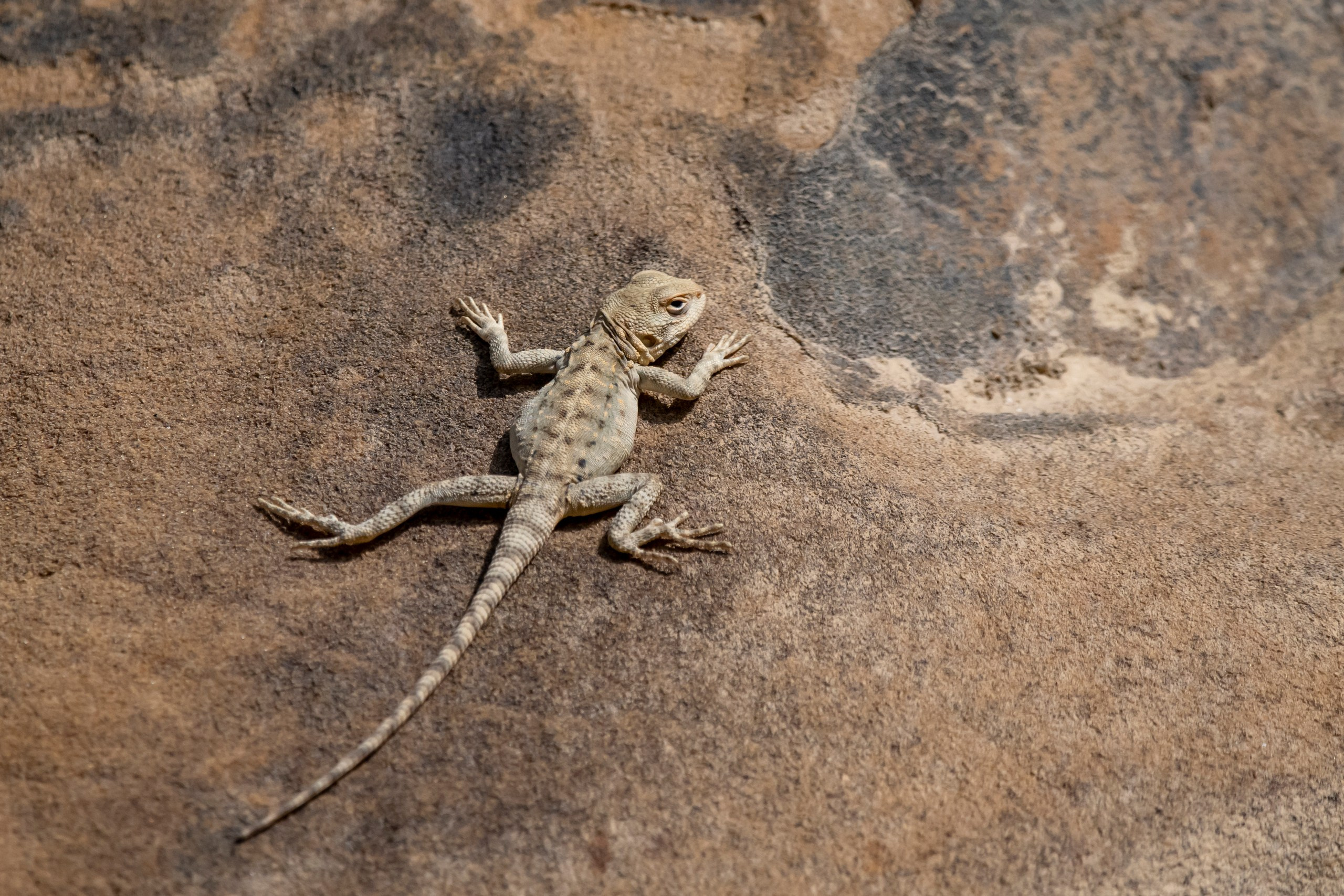 Природа Дагестана, сентябрь 2024. Foto-Zuev фотография как искусство