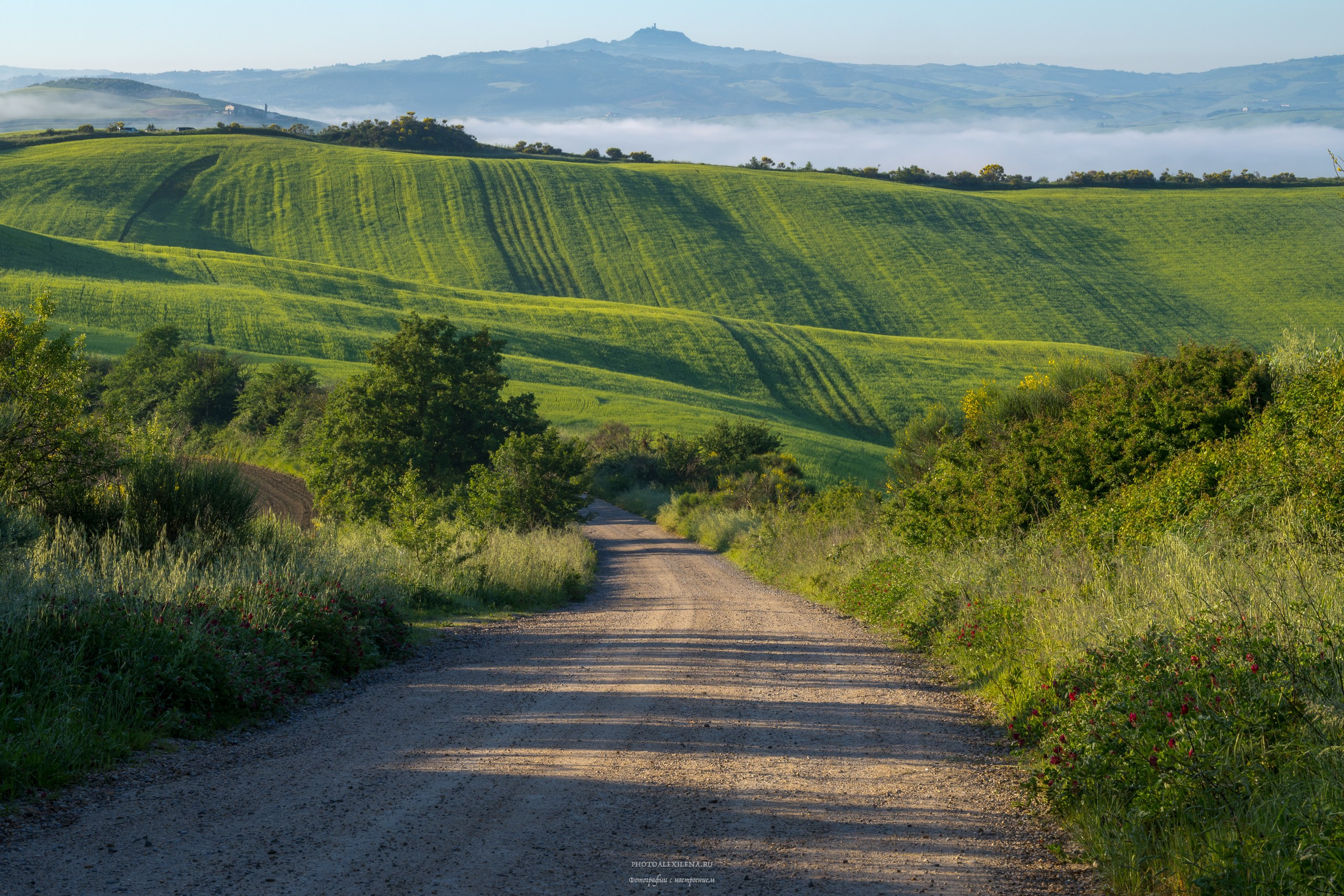 Волшебное утро в Тоскане. Авторские стильные фотокартины