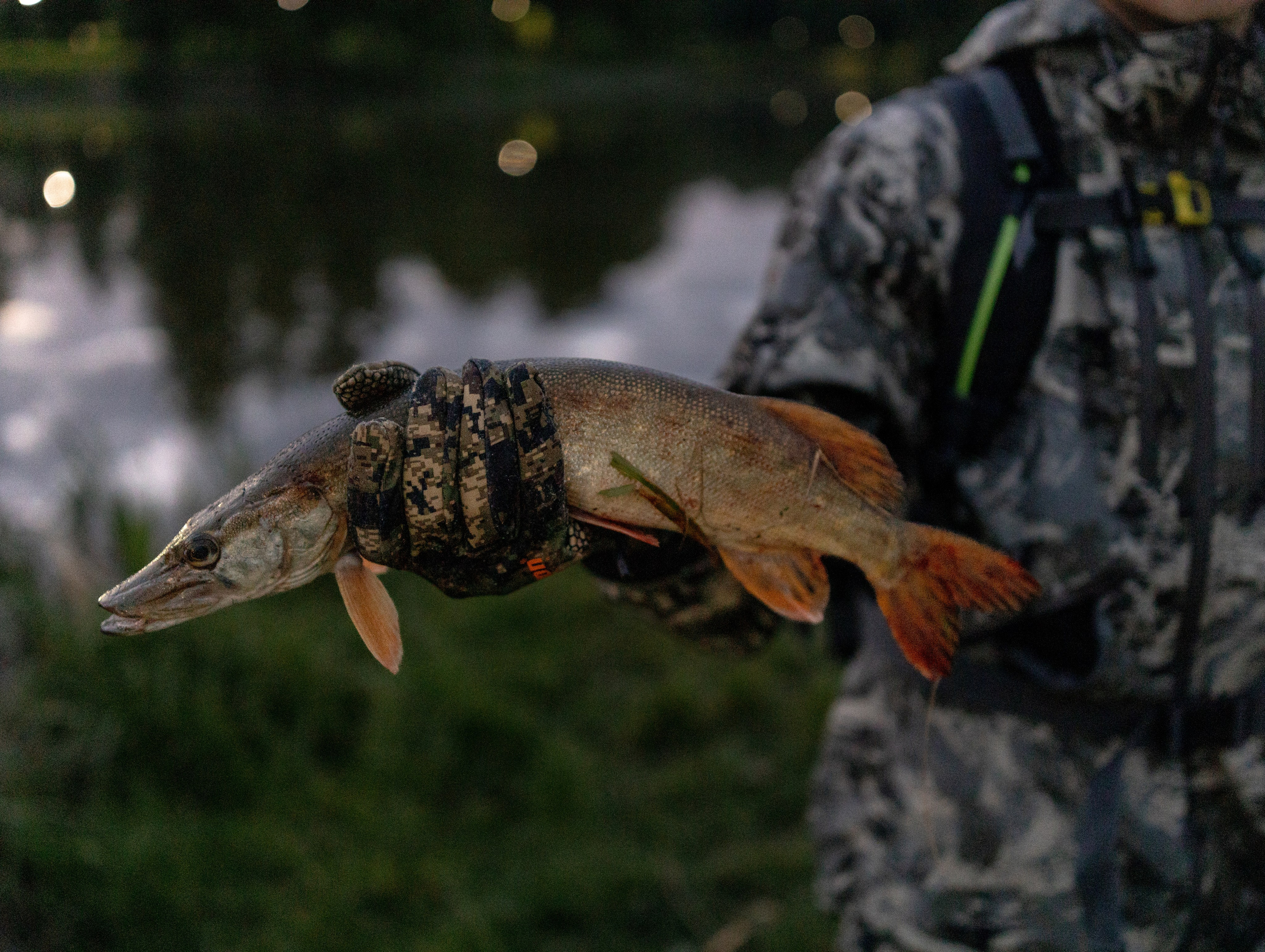 Арсений. Семейный и детский фотограф в Обнинске Анастасия Улитко