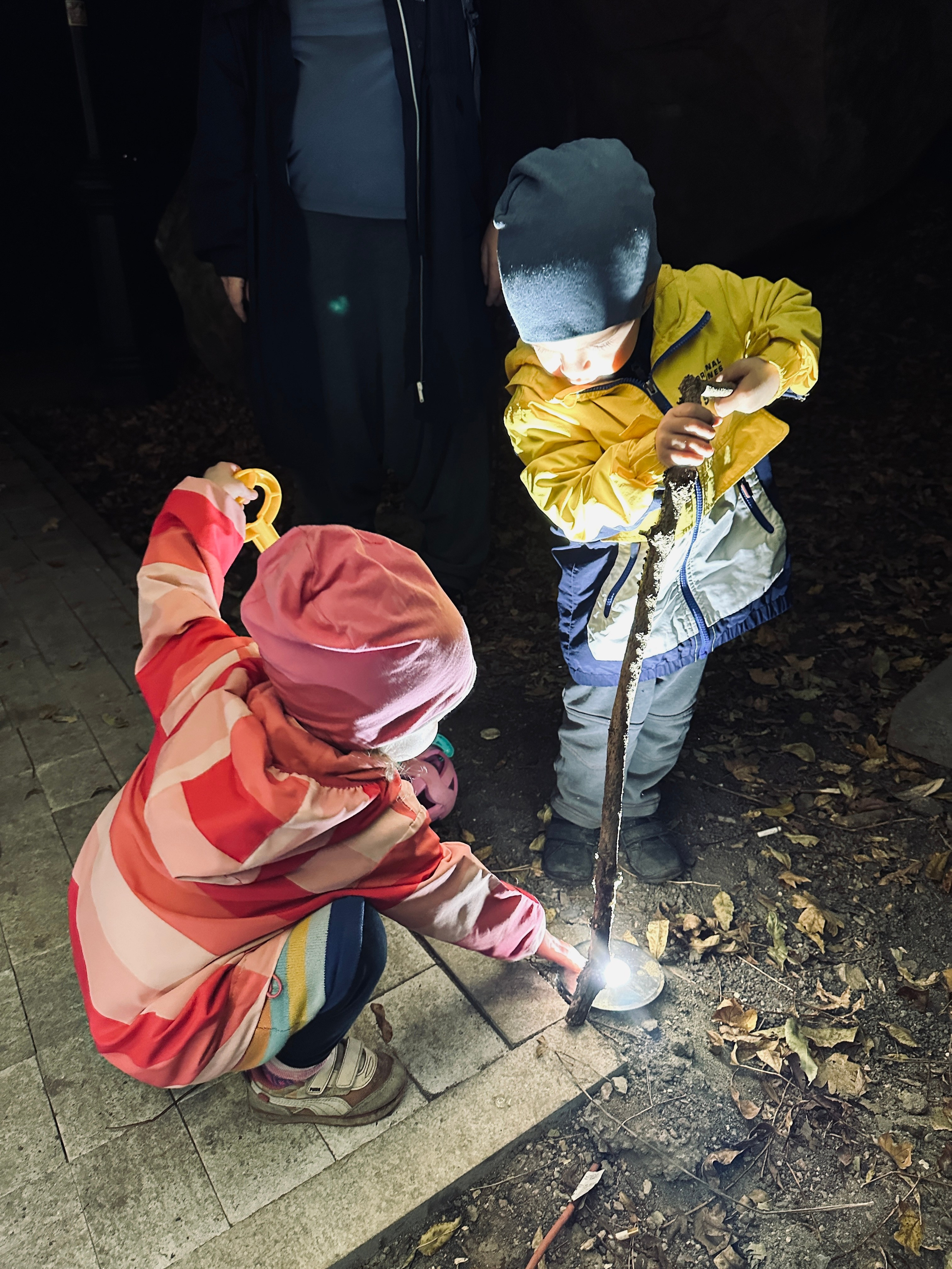 Дети. Смотри, красота!