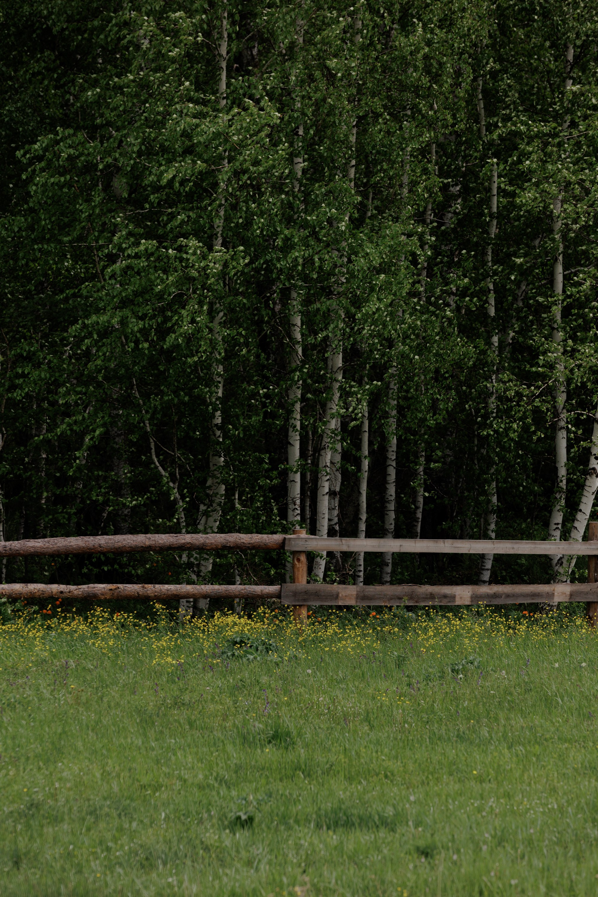 Ты, я и море. Свадебный фотограф