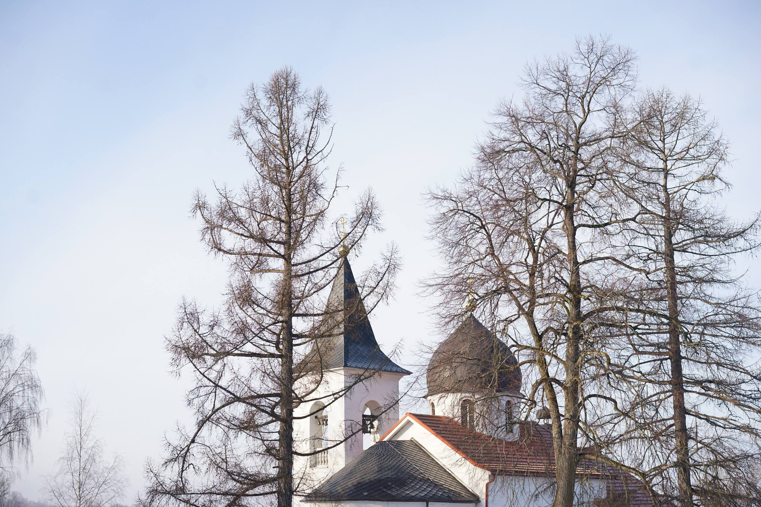 Бёхово. Лиза Фирстова — самый добрый фотограф
