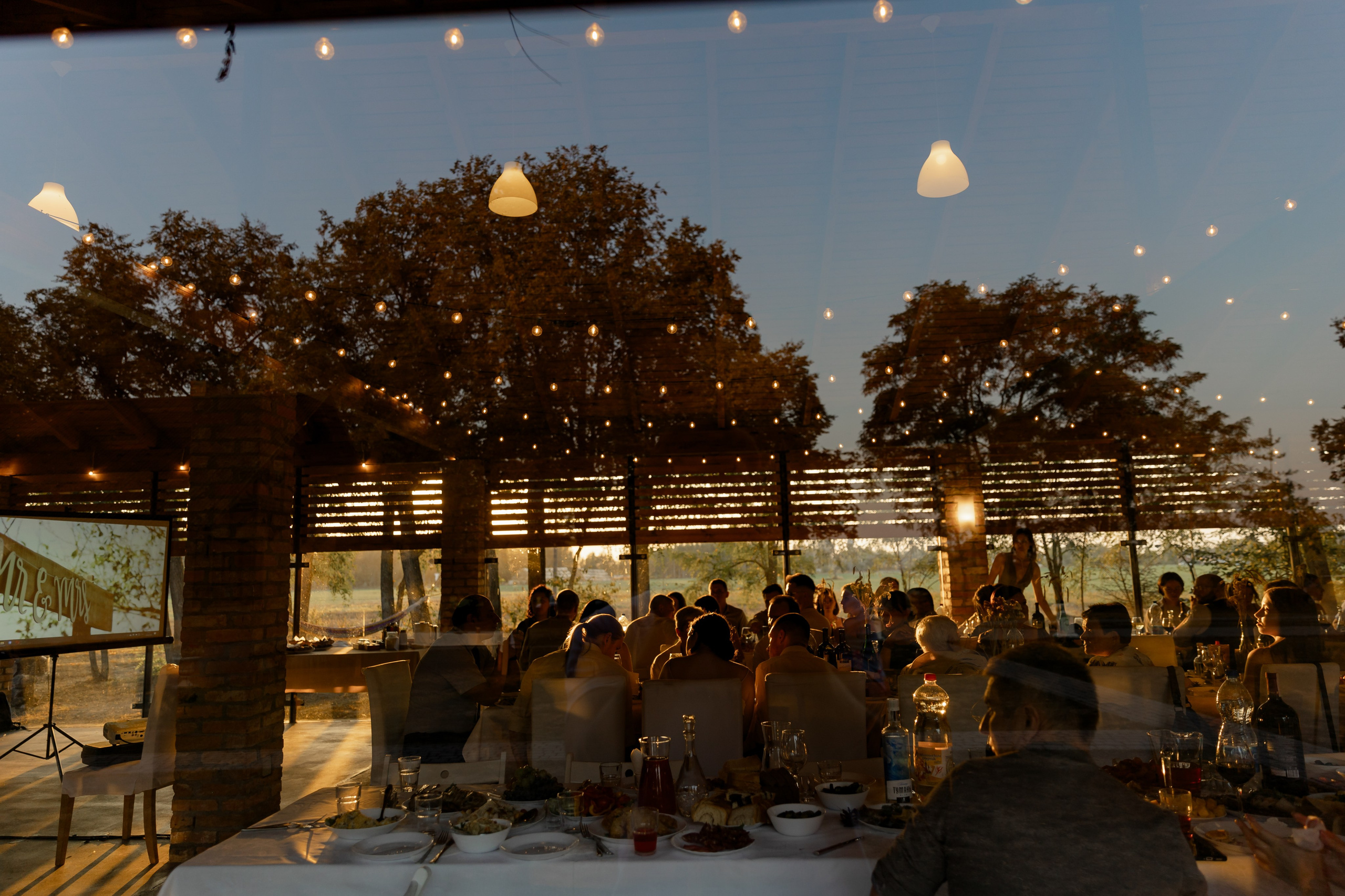 Виноградники. Dima Lemeshevsky