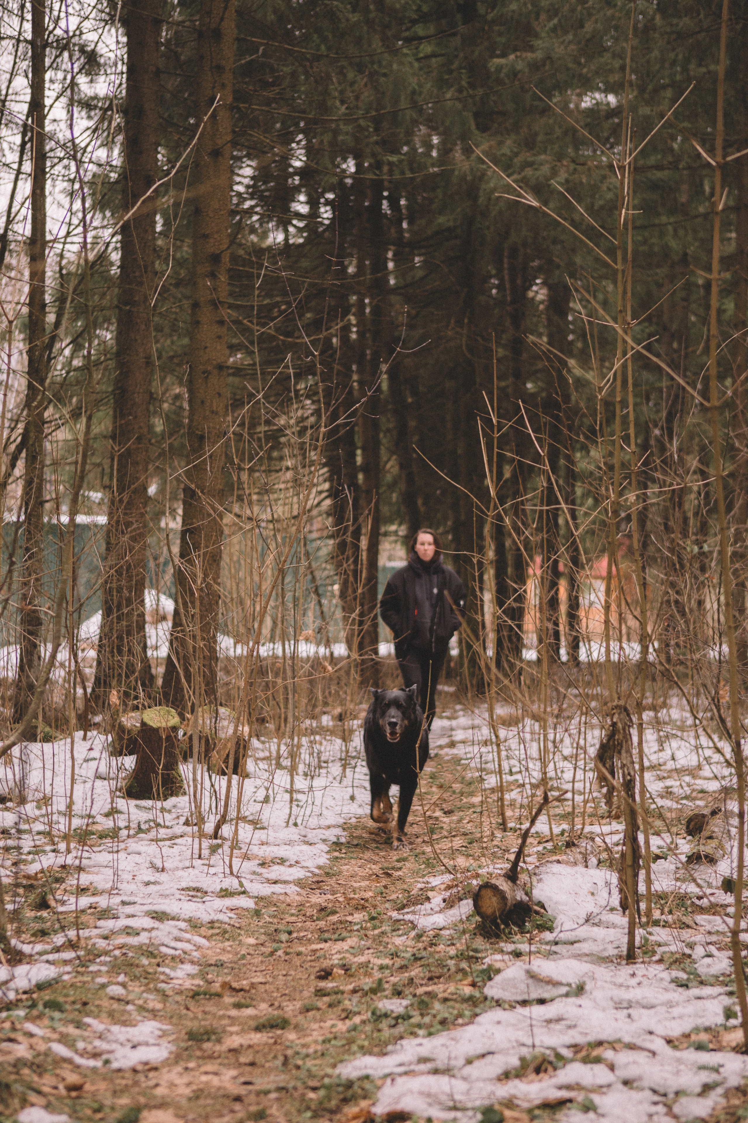 Alyona & Felix. Portrait, family and pet photographer in Cyprus, Ksenia Bourdelle