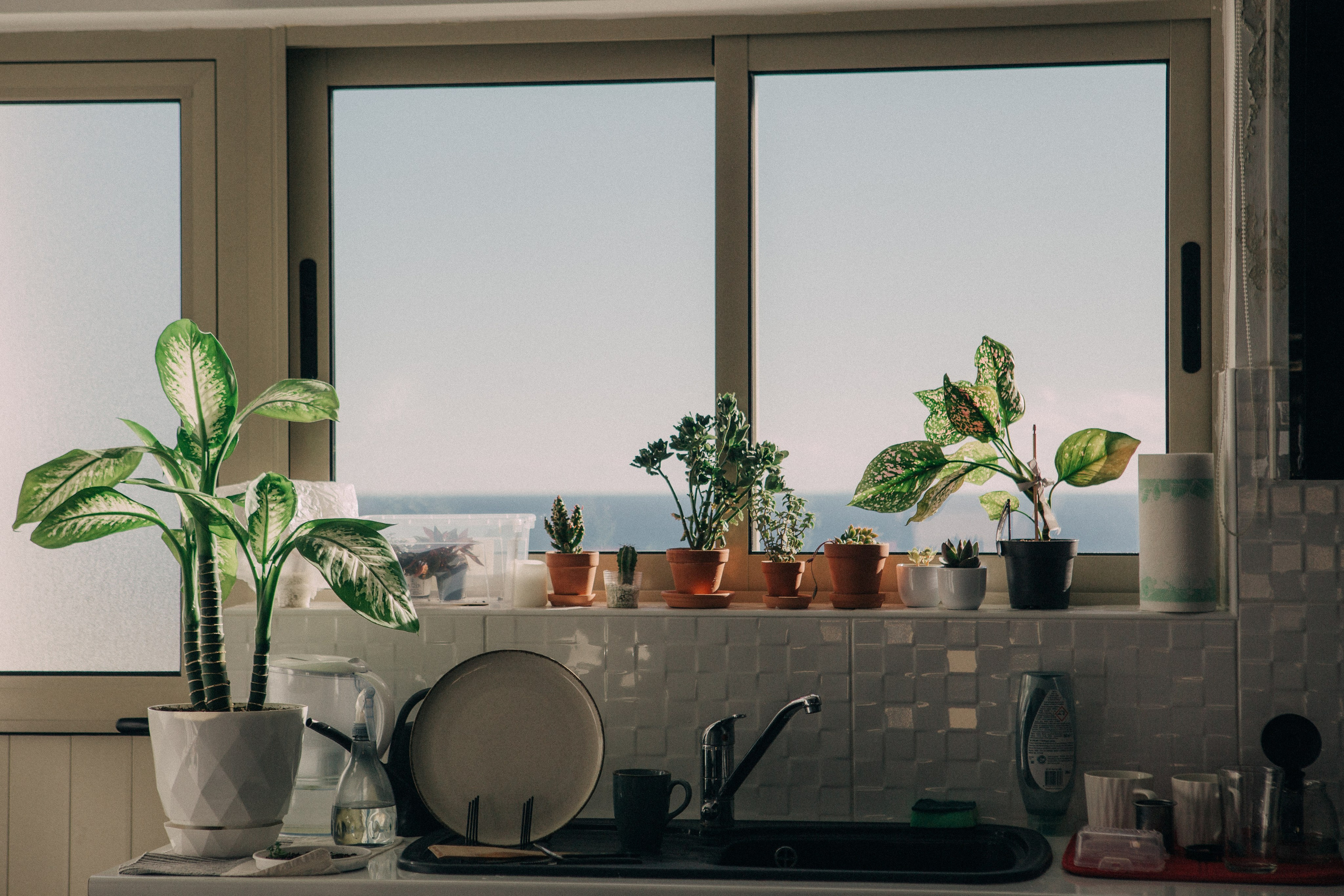 Alina. Portrait, family and pet photographer in Cyprus, Ksenia Bourdelle