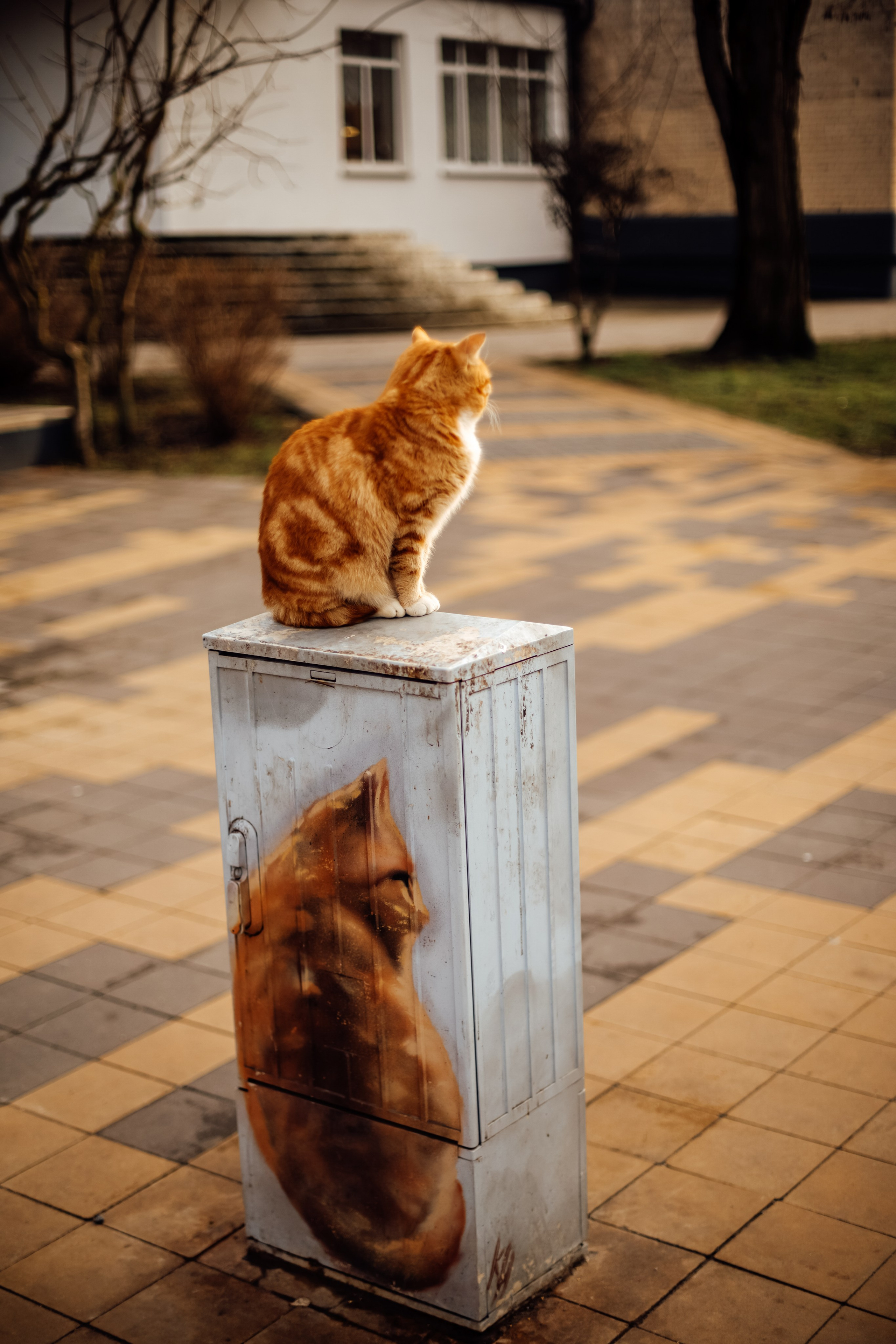 Зеленоградск. Https://malovafoto.ru