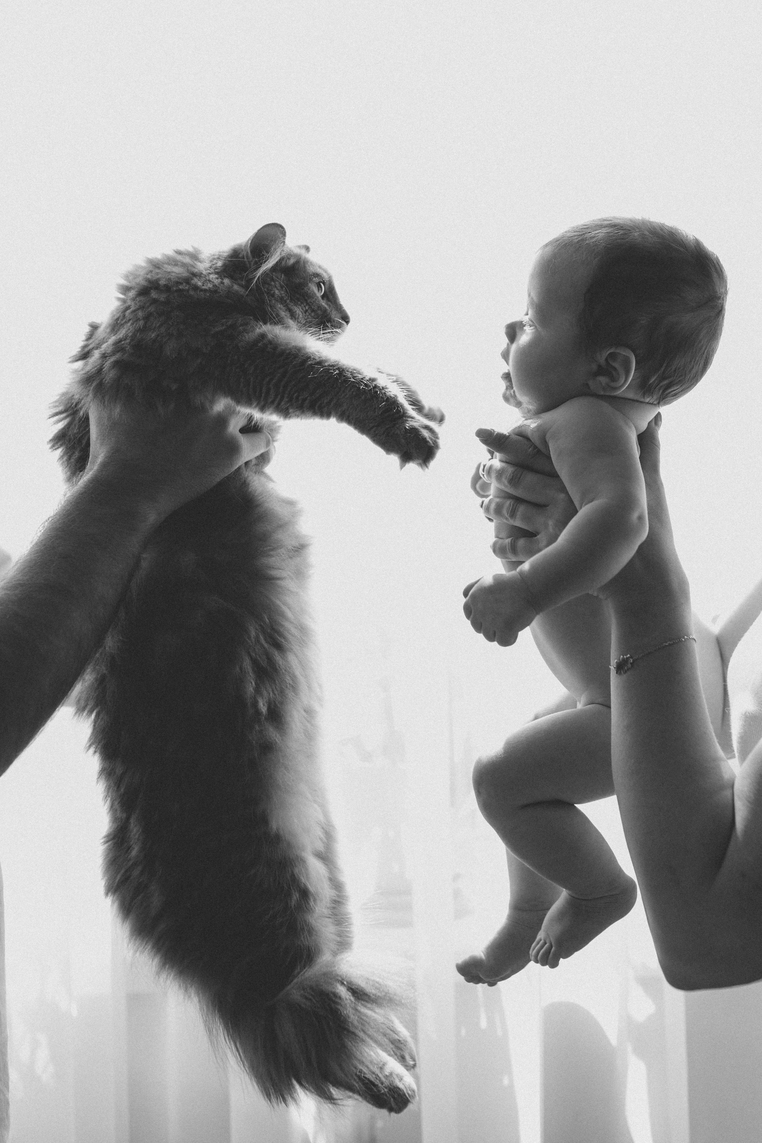 Family moments. Семейный фотограф и фотограф на роды в Ростове-на-Дону Мухина Виктория
