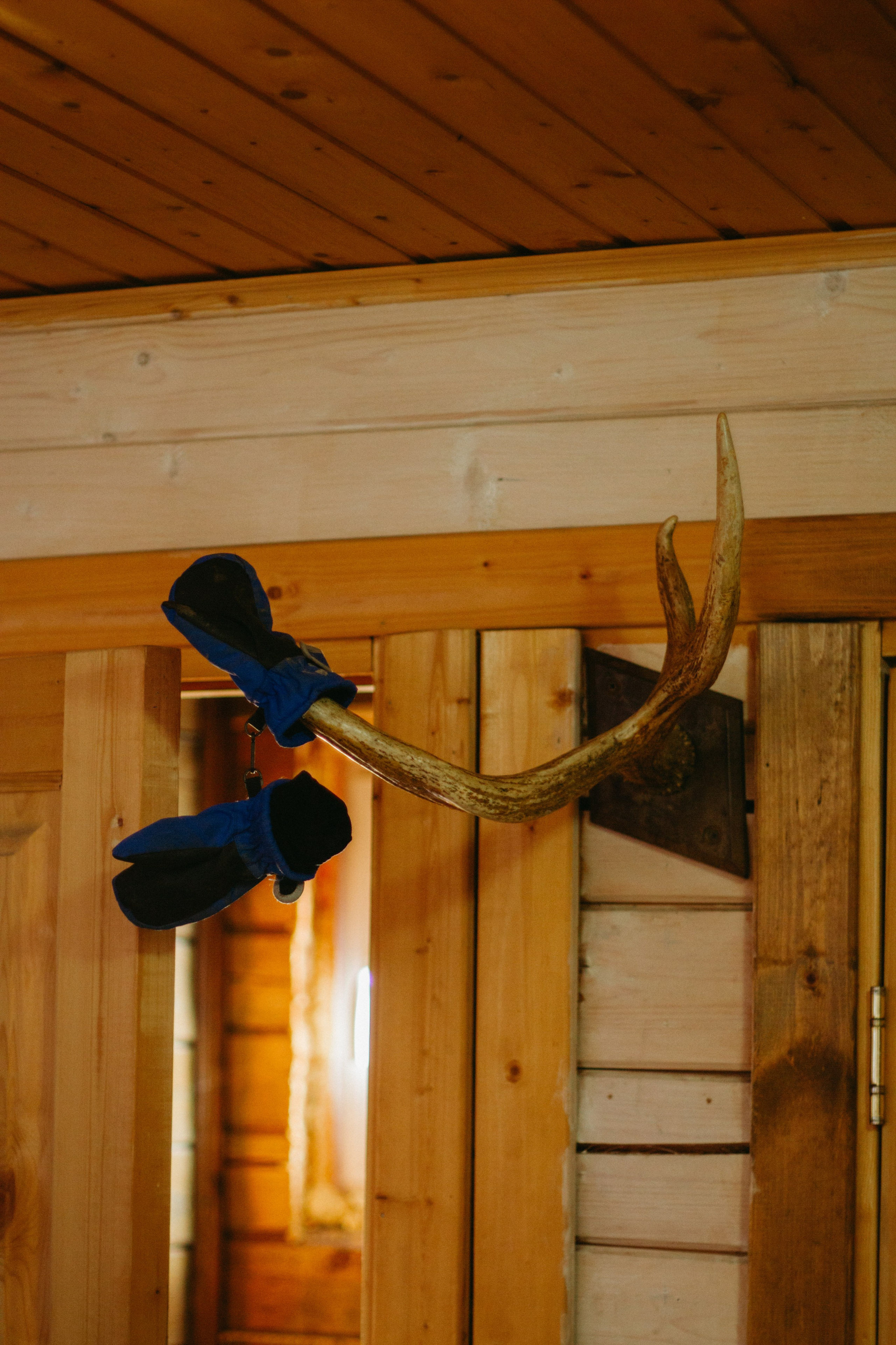 Улица Мира. Варвара Бабёнышева