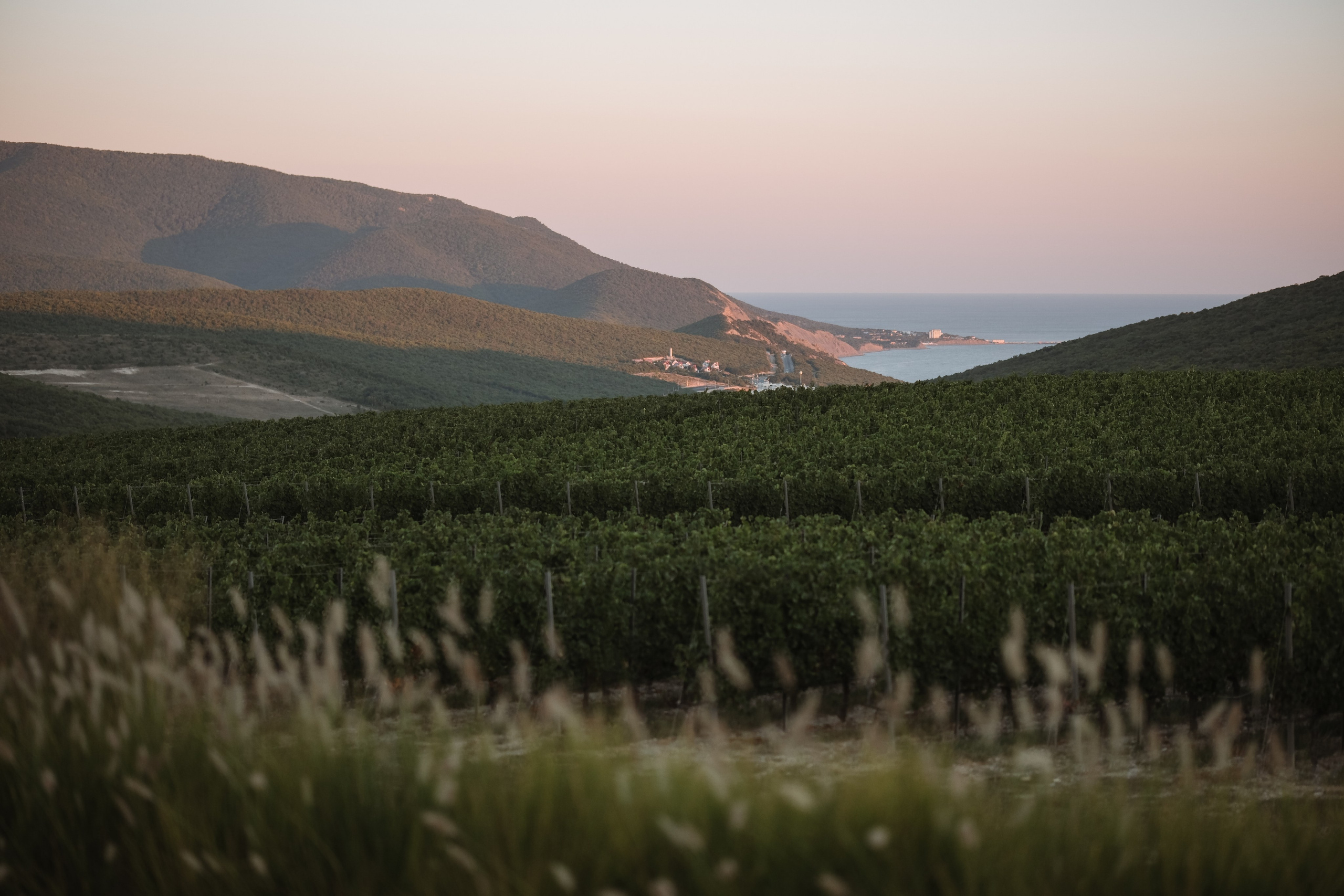 Мишель!. Фотограф новорожденных в Брянске Анжелика Прохоренкова