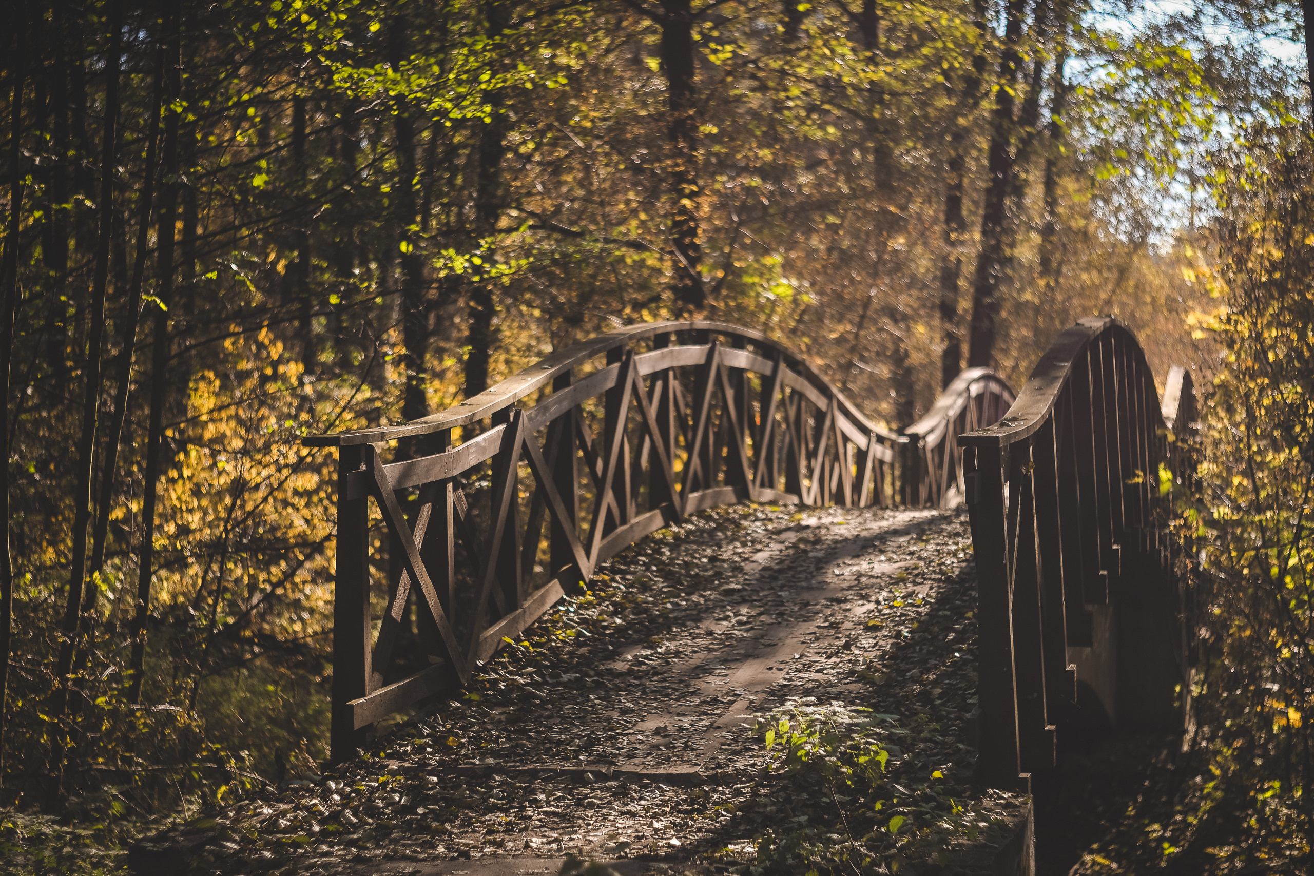Деревянный арочный мост осенью через речку Хрипанку