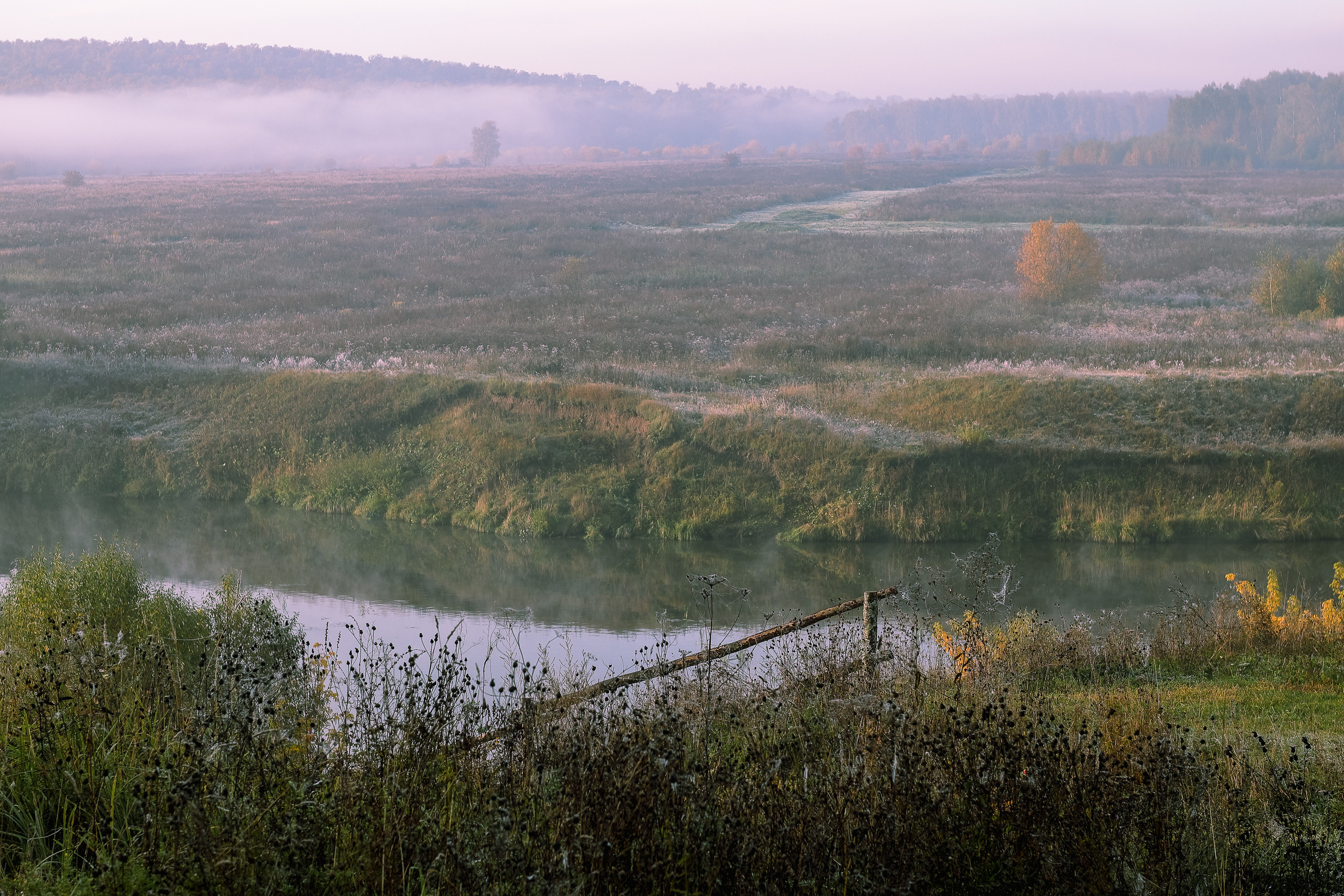 Туманный и солнечный осенний рассвет на Подмосковной реке Пахра