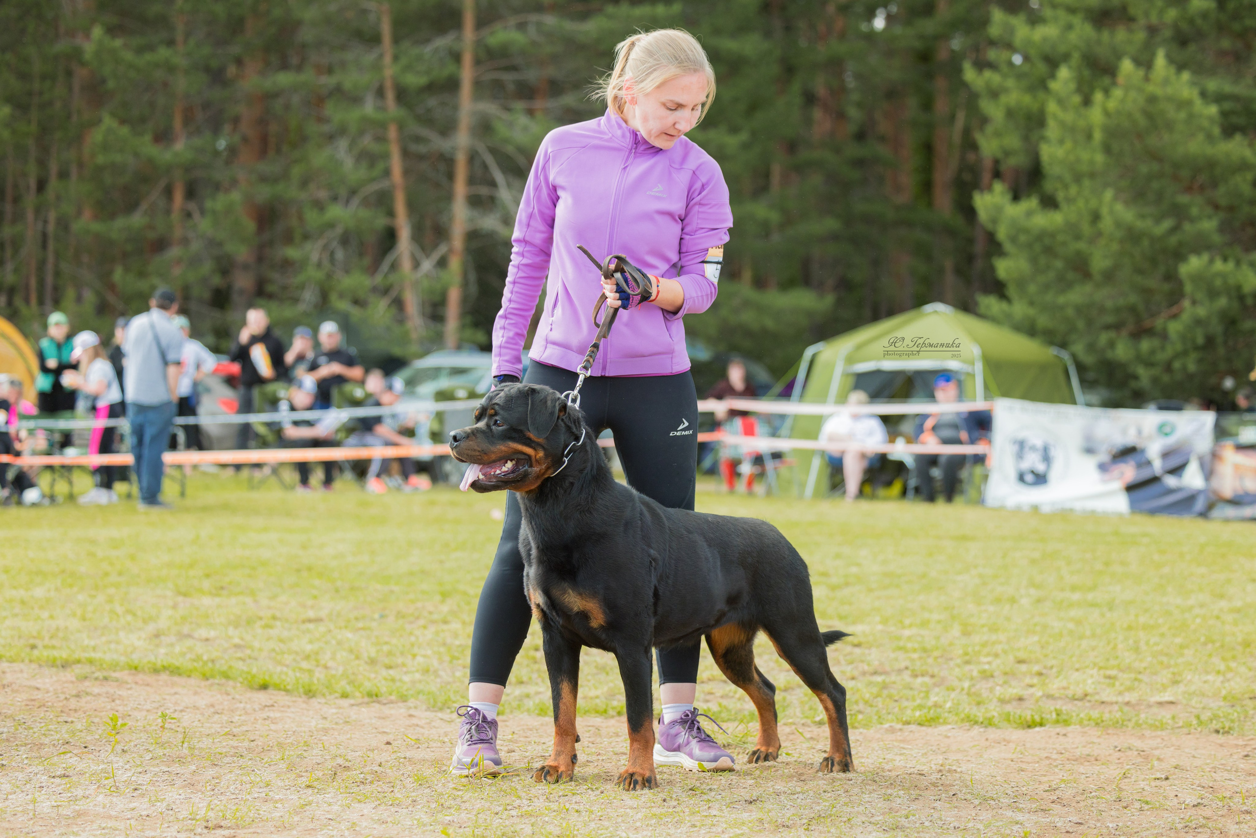 Тверь ротвейлеры 5-6.07.2025. Фотограф-анималист Юлия Германика
