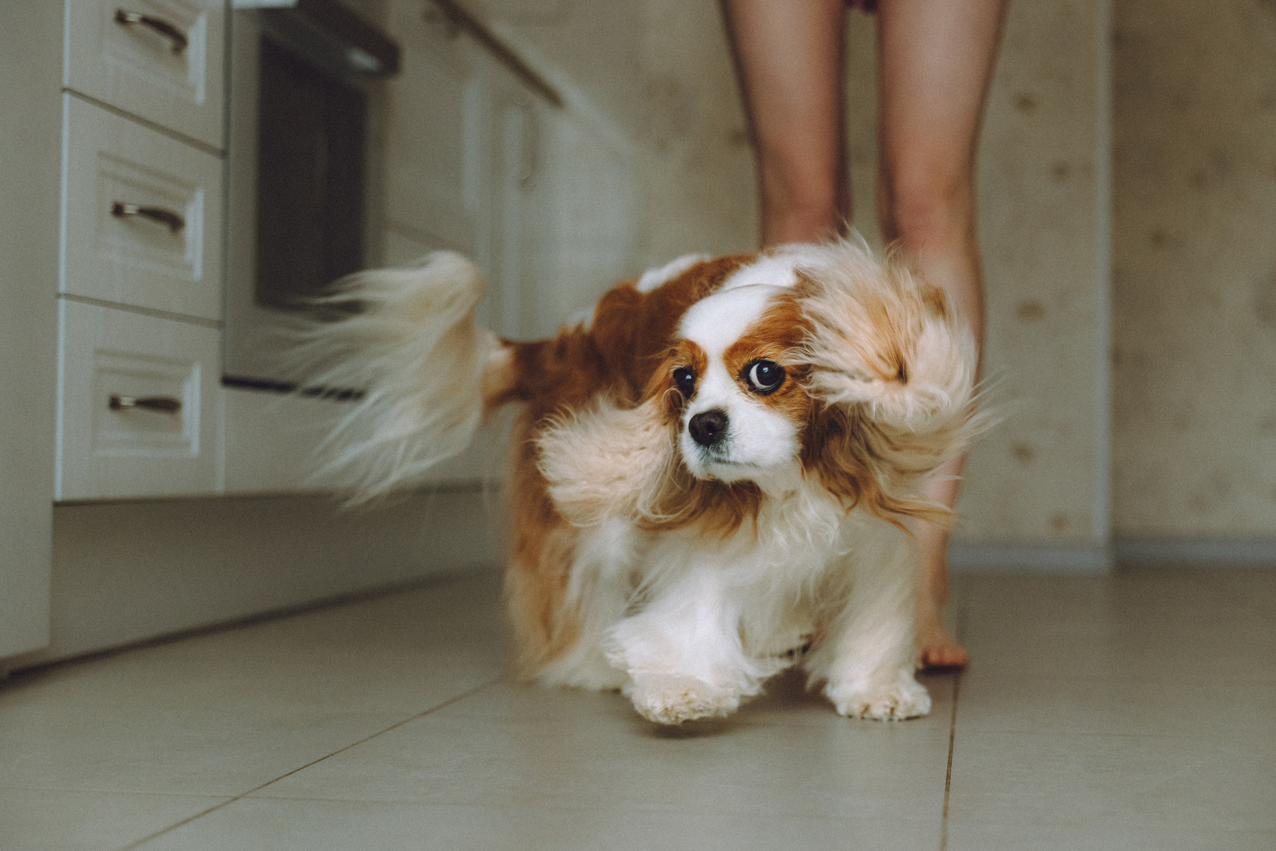 Наташа и Вики