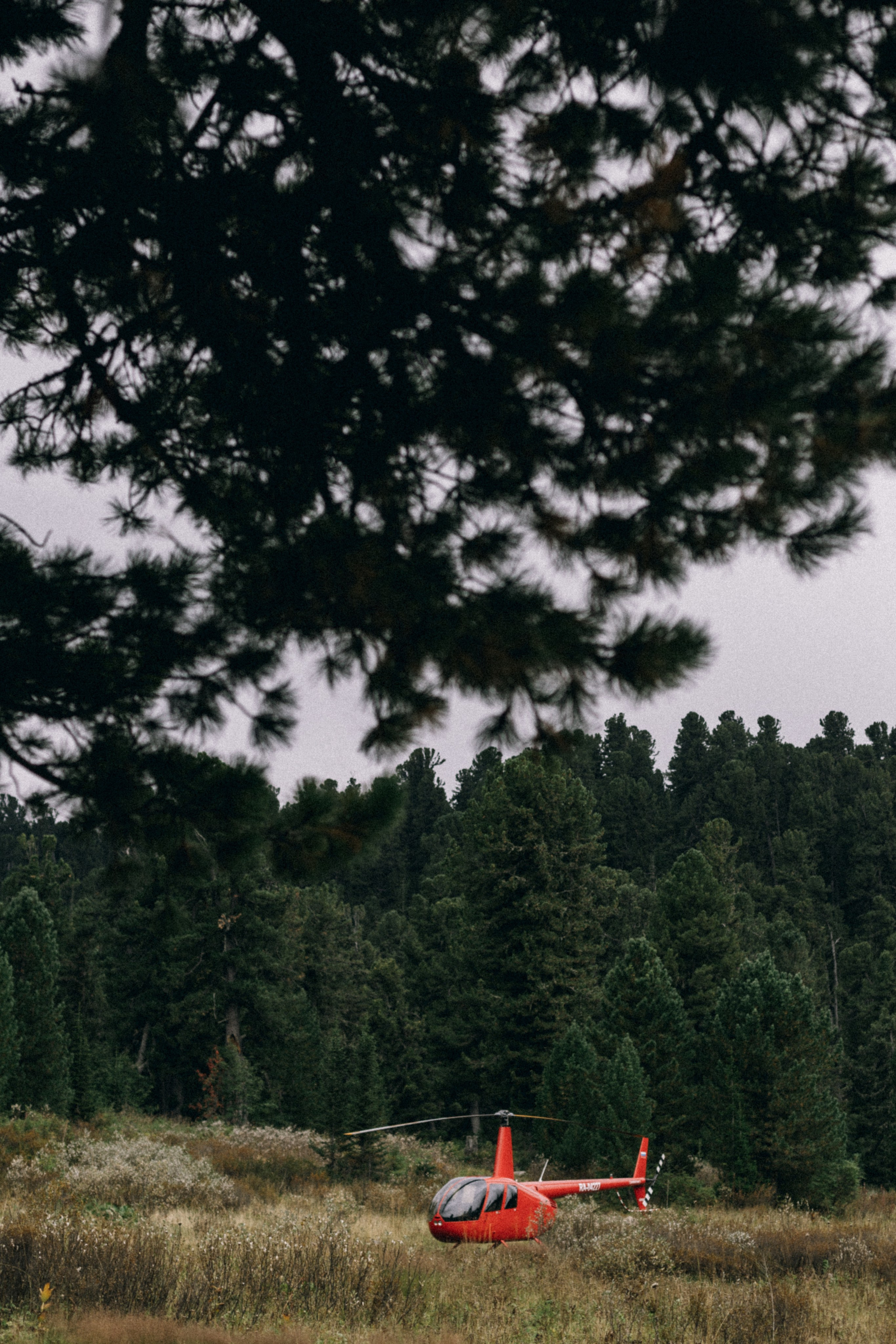 Алтай, природа и эстетика. Александр Чернин. Семейный и событийный фотограф