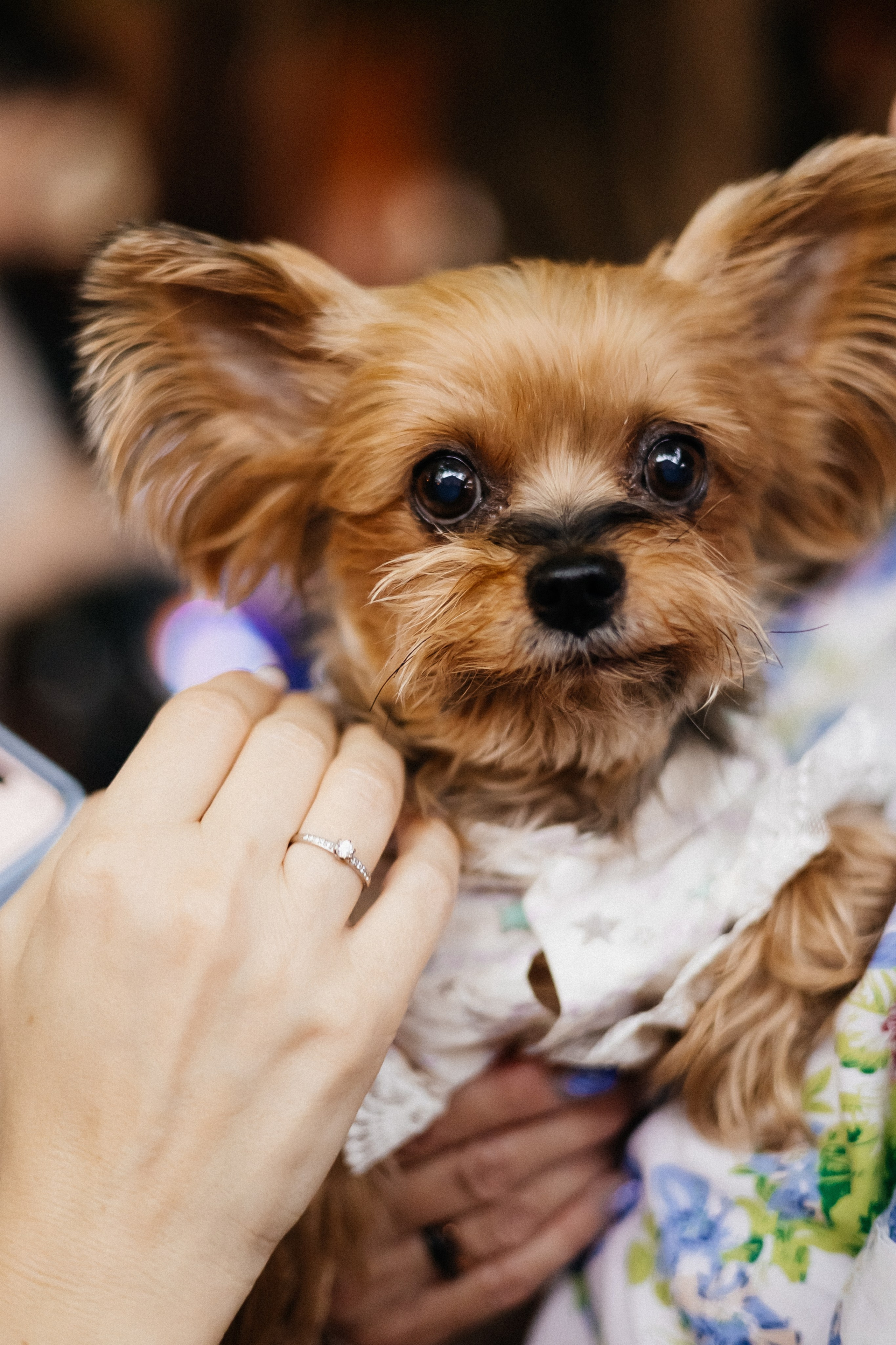 Среда — маленькая пятница| Караоке — бар «Vibe». Фотограф Кемерово | Сергей