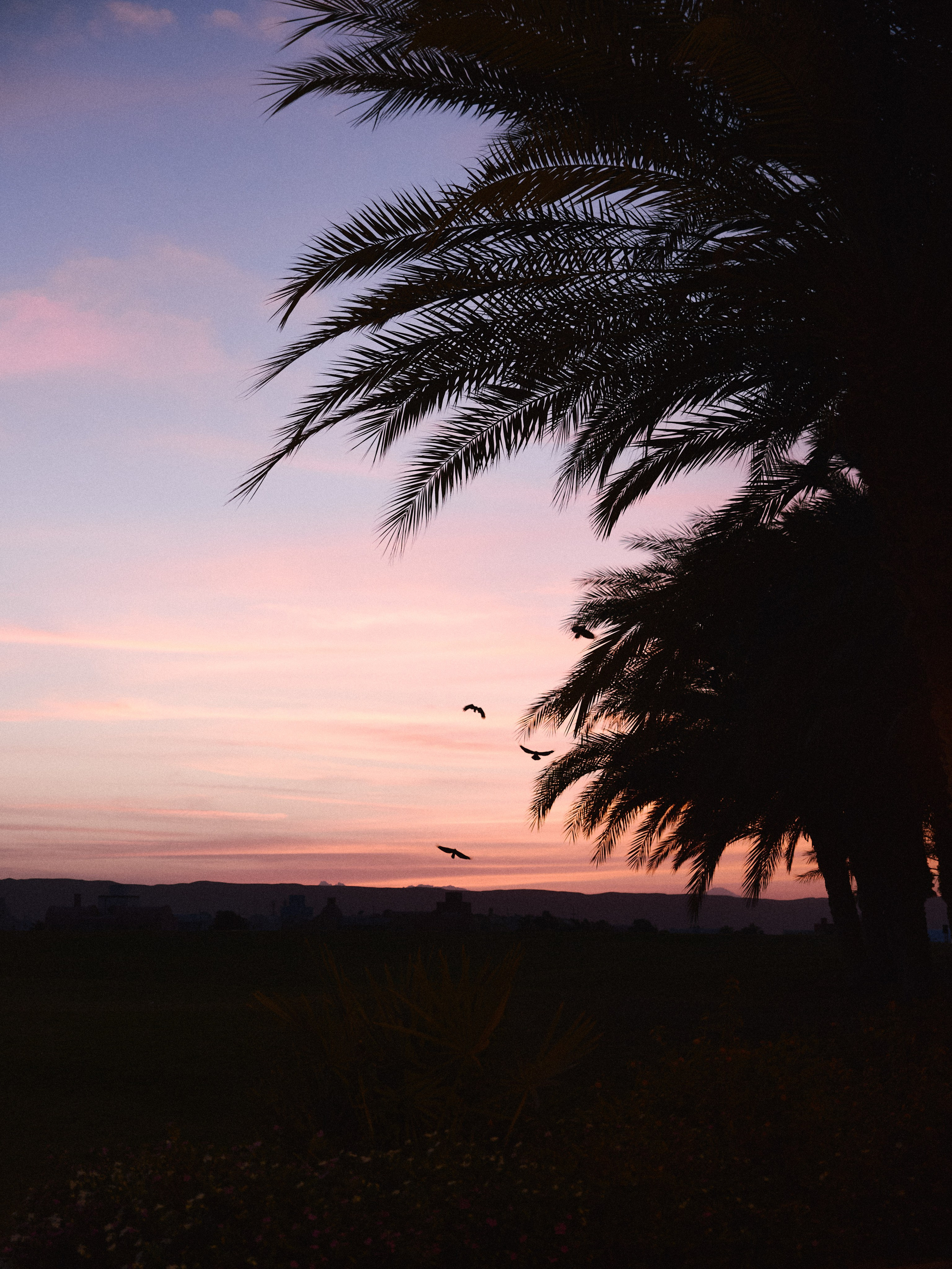 Диптих. Jorgis — фотограф в Хургаде / обучение фотографии