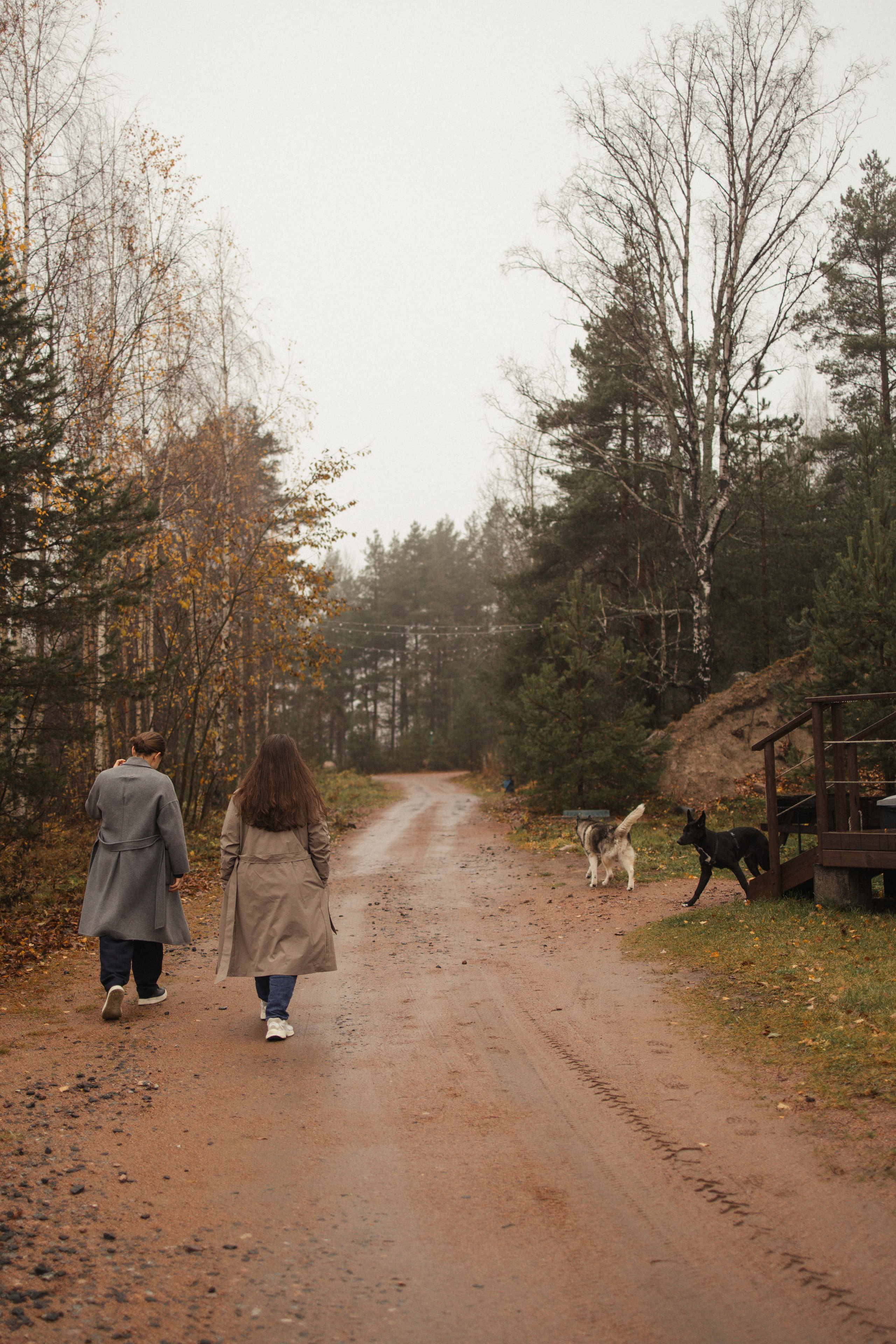 Лена, Глеб, Ральф и Рэй. Фотограф в Выборге и Санкт-Петербурге Маша Гуляева