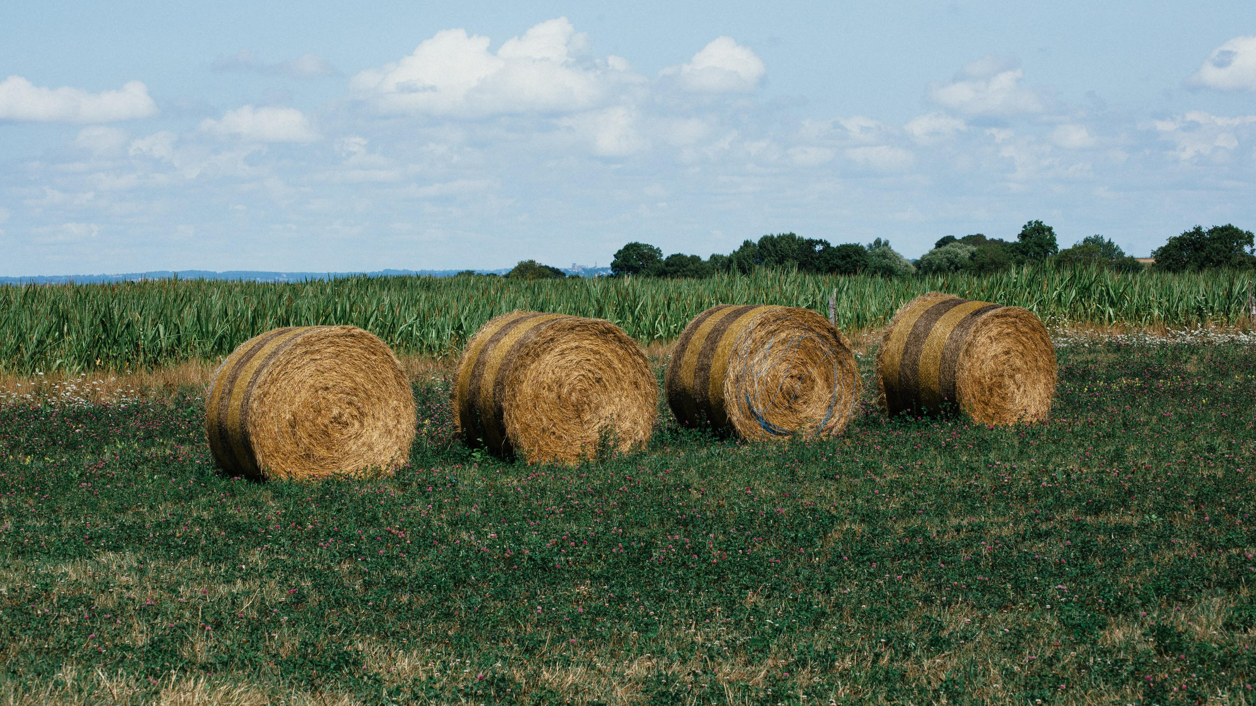 Франция. Фотографии Дмитрия Захаренко