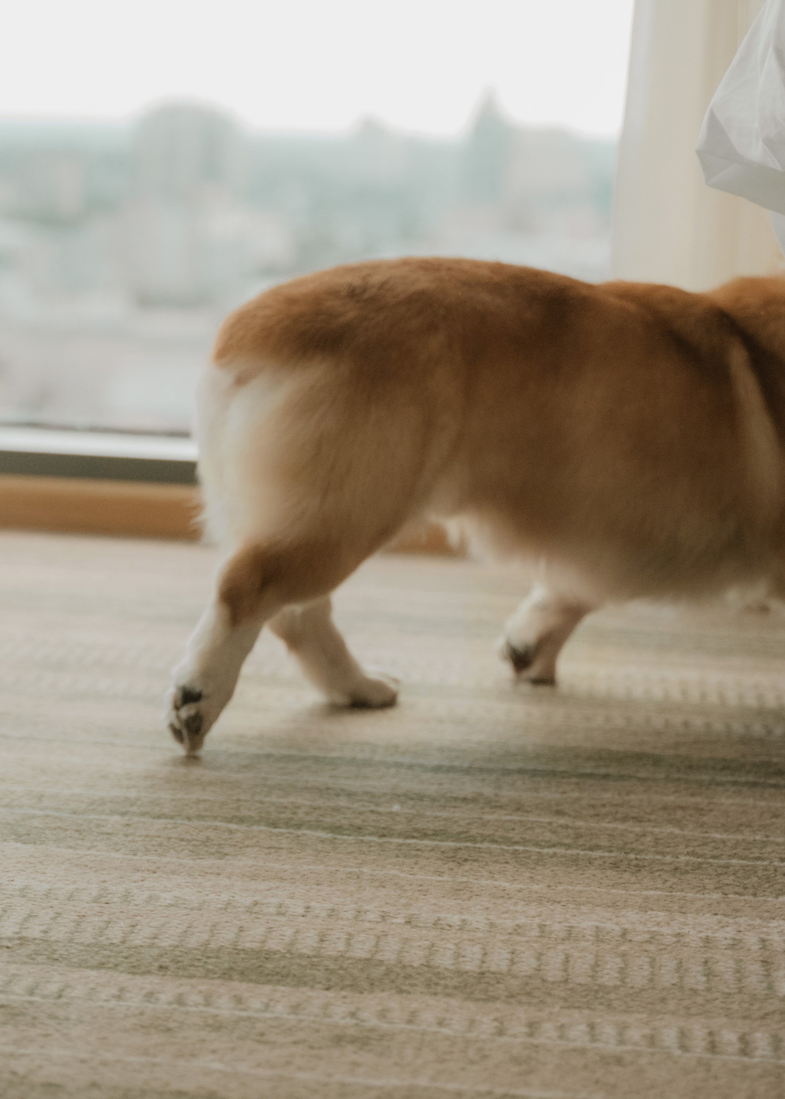 Утро невесты в гостиничном номере