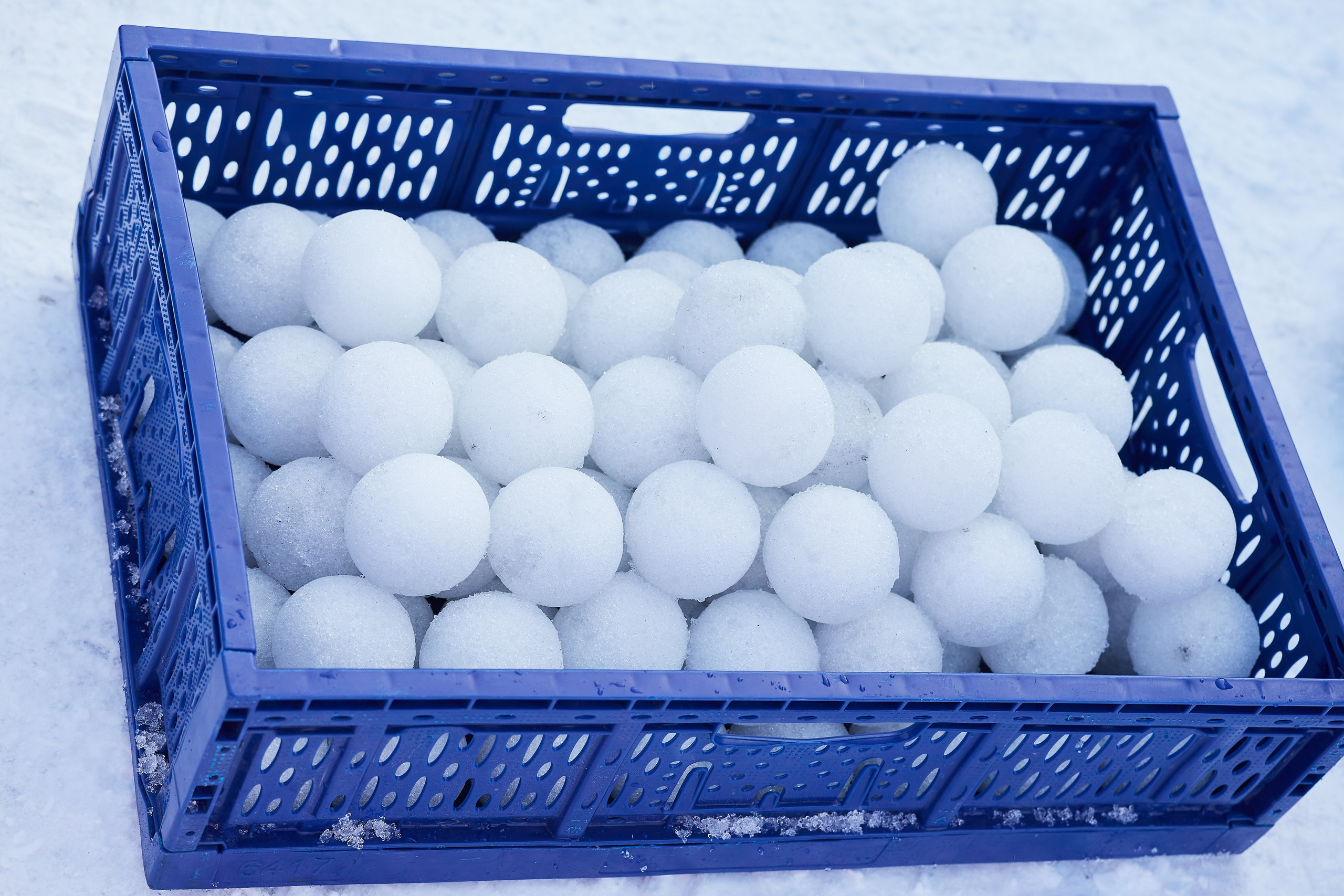 Юкигассен. Фотограф Мурманск Екатерина Мотькина