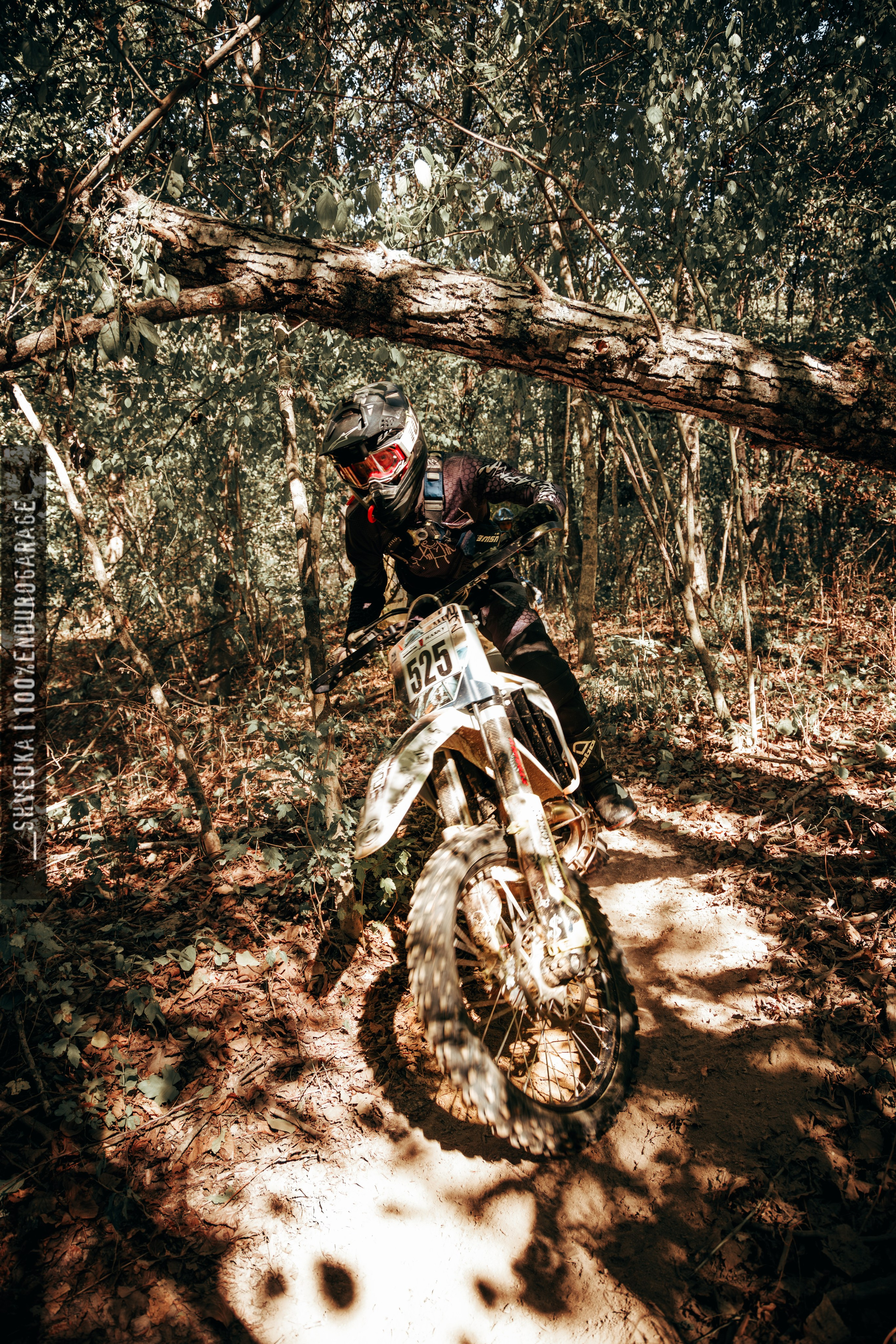 1 лесной день. Ваш экстрим фотограф Кудрева Яна