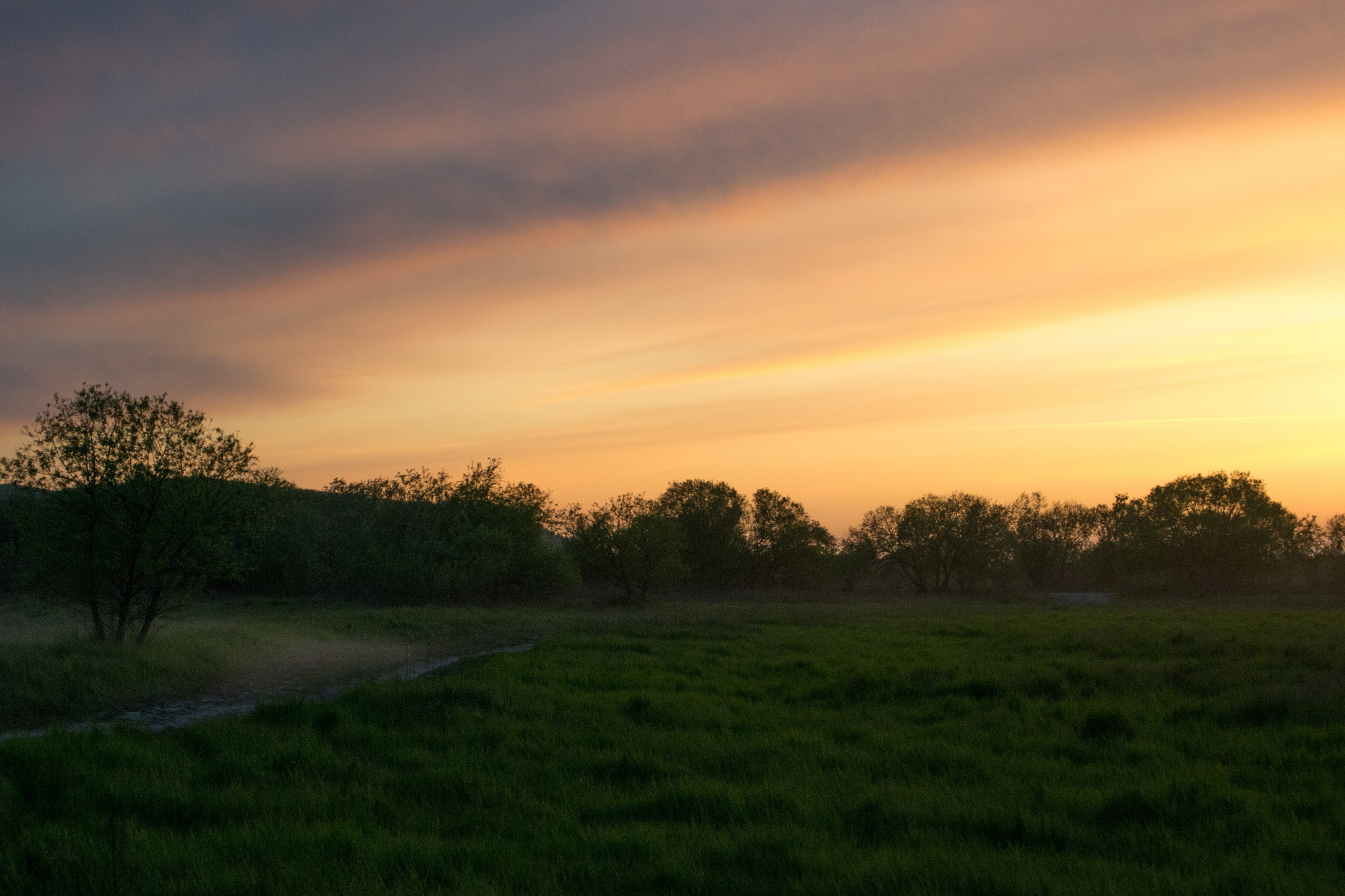 дачи, город, архитектура, стрит, репортажная фотография, фотография, Хабаровск, фотосессия, фотограф, дом, новостройка, улицы, жизнь города, town, art, photo, photographer, photo, Khabarovsk, Far East, street photo, природа, Дальний Восток, тайга, цветы, закат, небо, облака, nature, clouds, forest, flower, sunset