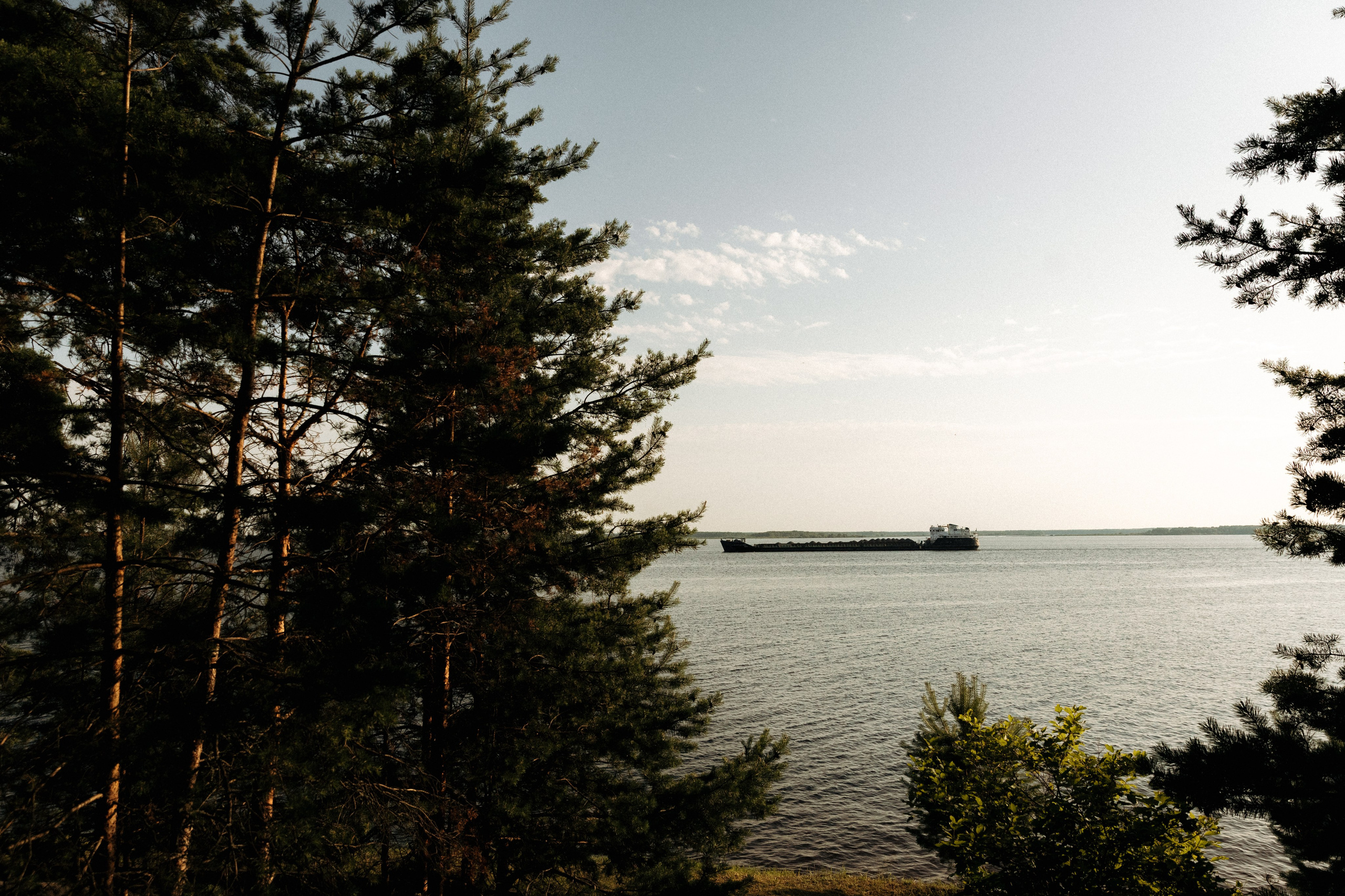 Анонс. Свадебный фотограф Кузнецова Ольга Санкт-Петербург, Вологда, Череповец
