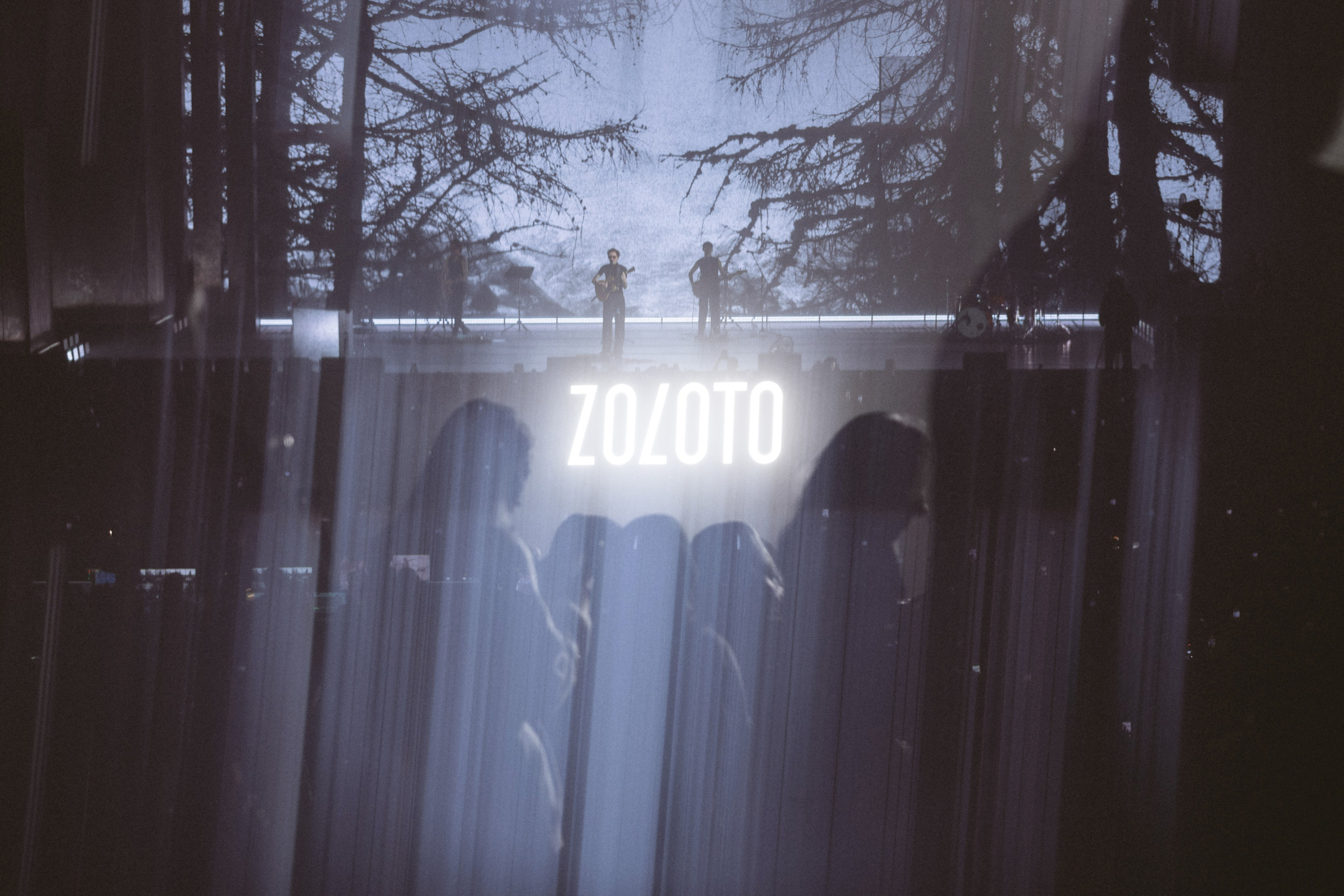 Zoloto в Юбилейном. Фотограф Виктория Дунаевская в Санкт Петербурге