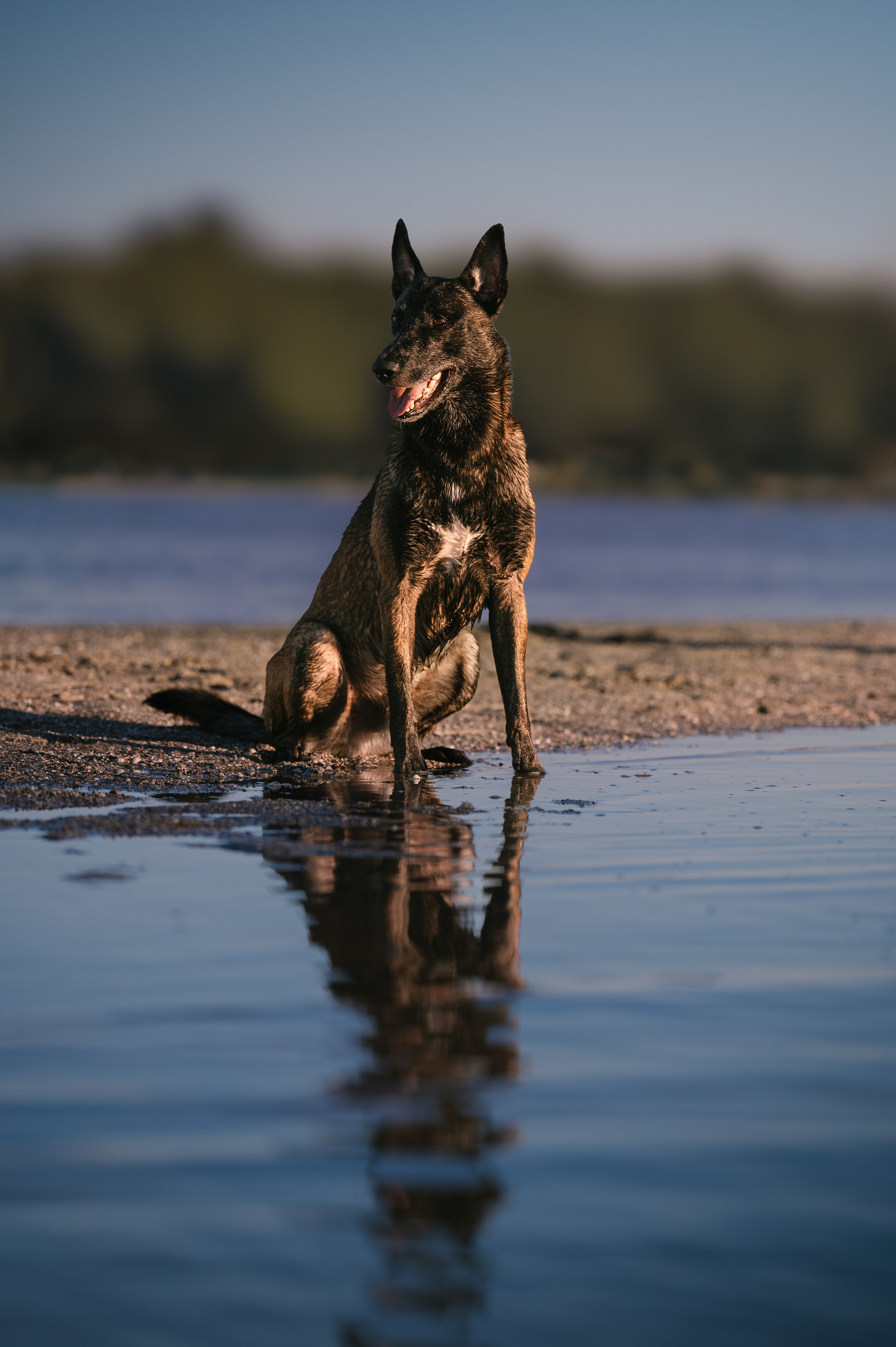 Вечер на заливе. Фотограф в Ростове —на — Дону