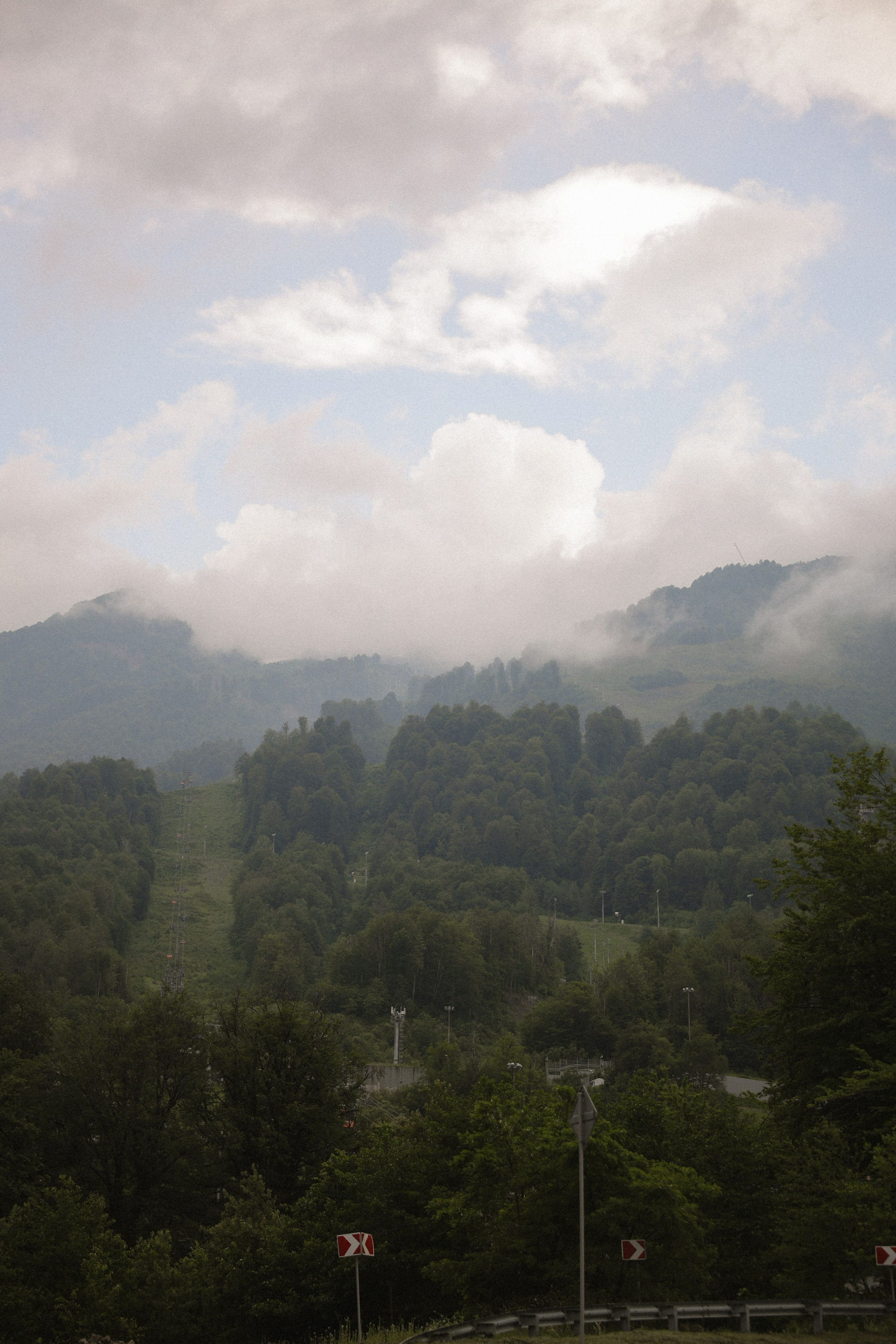 Додж тоже подойдет. Свадебный, репортажный и портретный фотограф Сочи, Краснодар. Александра Зайцева