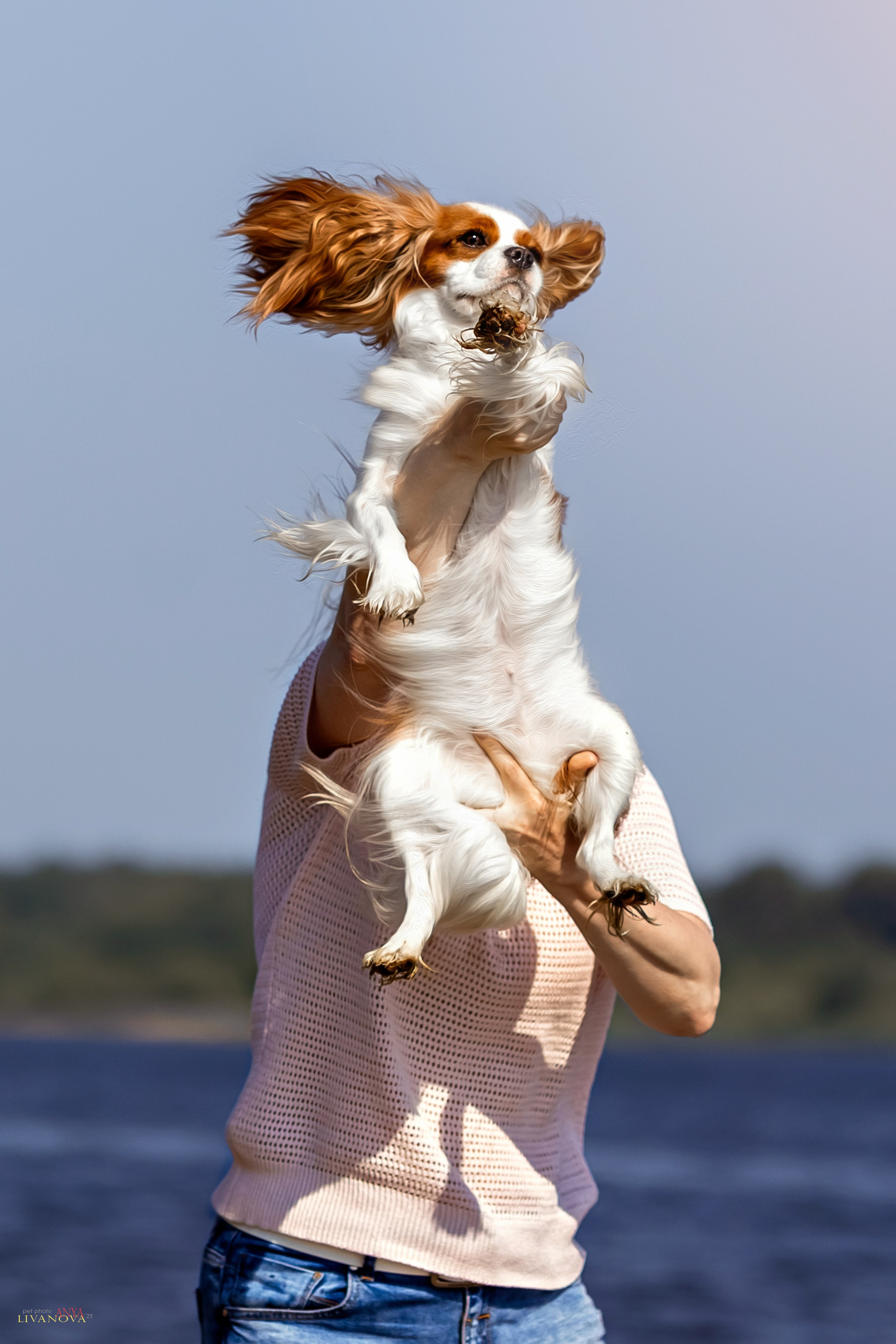 Аня и Миля. Фотограф анималист Аня Ливанова | Рыбинск